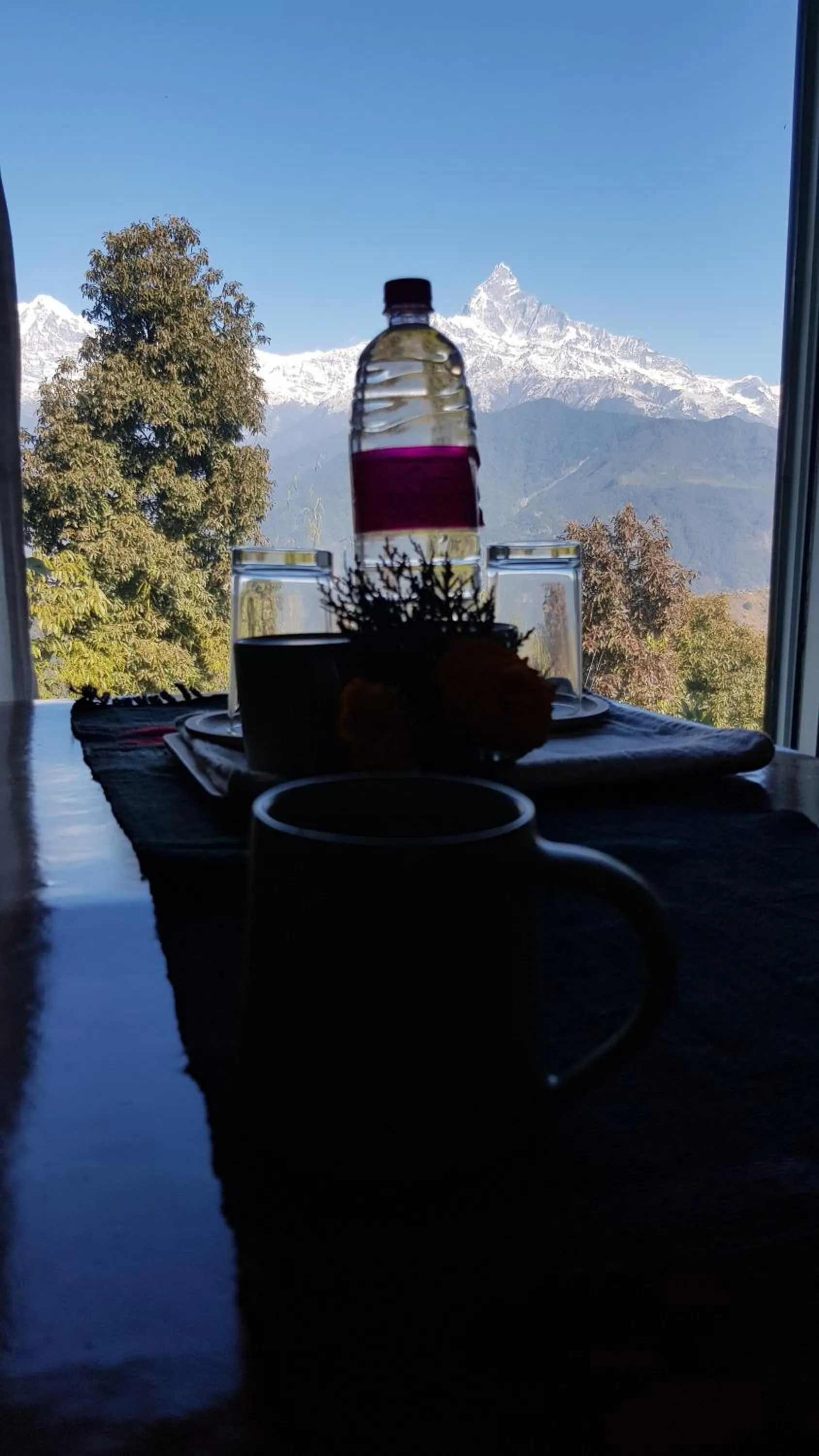 View (from property/room) in ES Deurali Resort