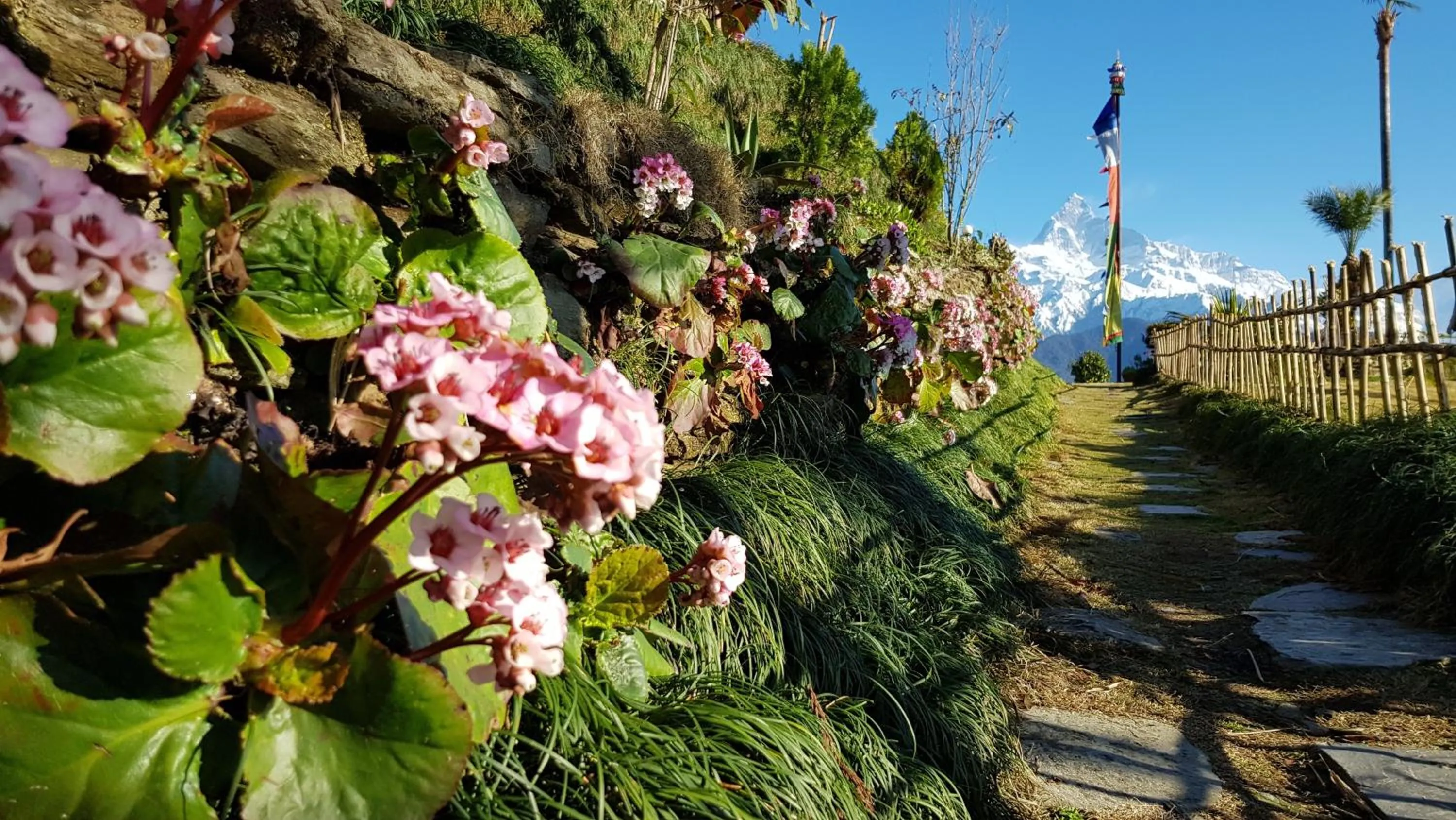 Garden in ES Deurali Resort
