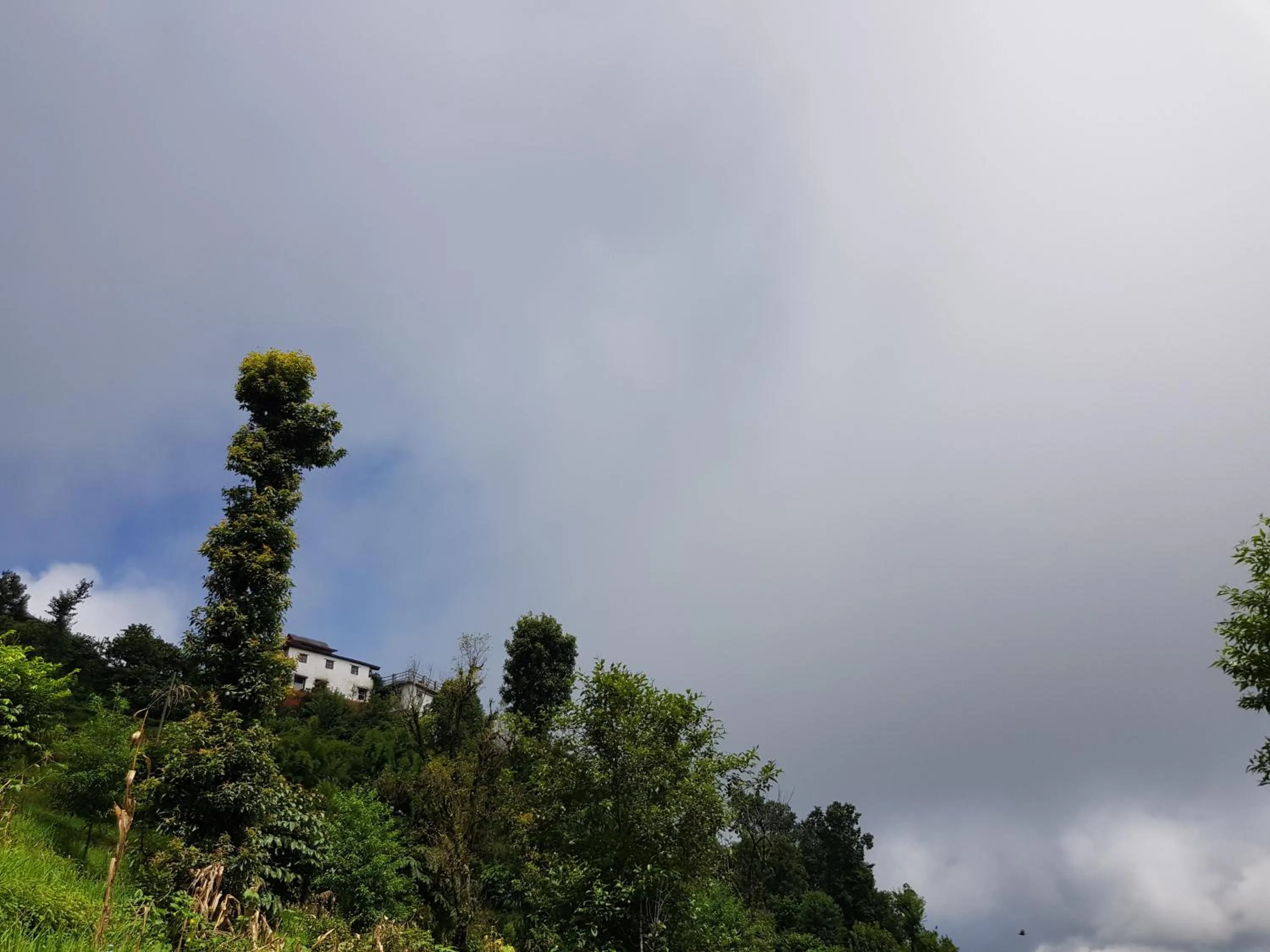 Natural landscape in ES Deurali Resort