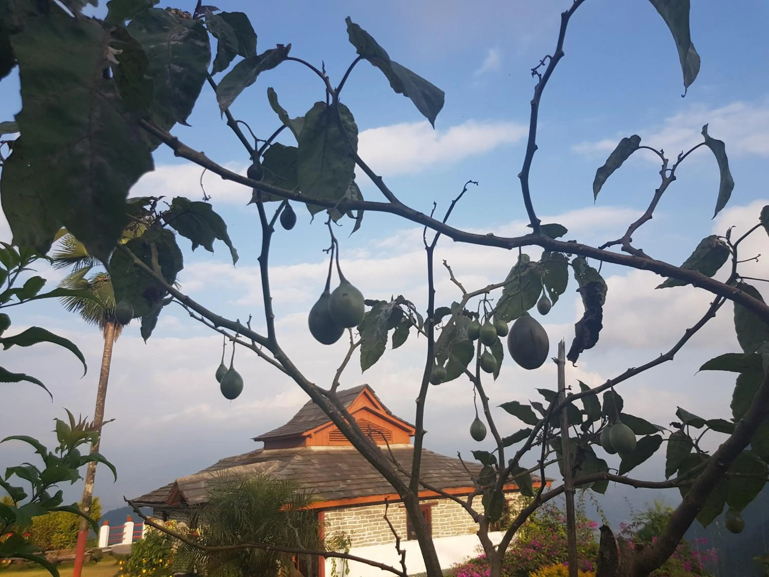 Natural landscape in ES Deurali Resort