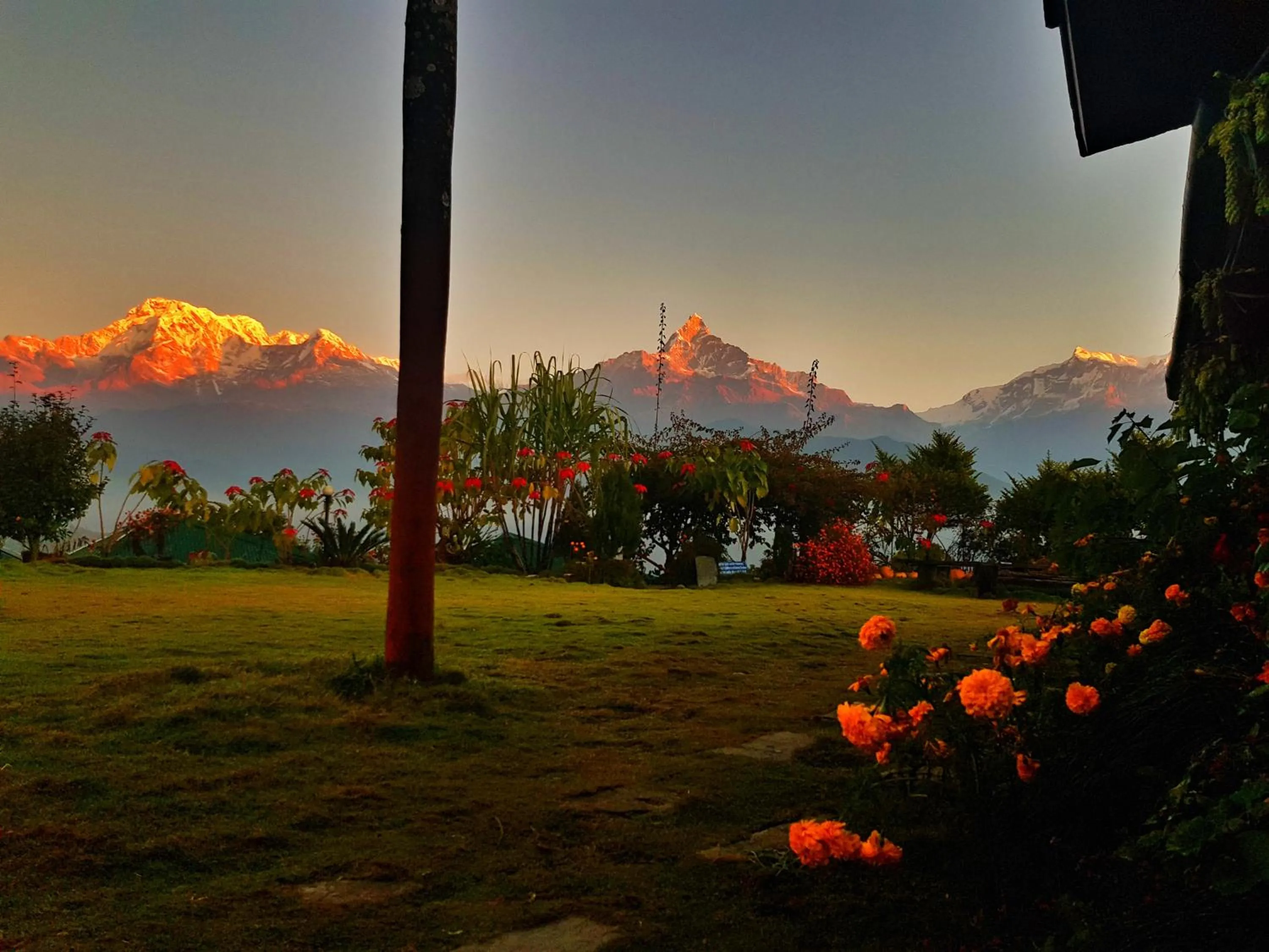 Garden in ES Deurali Resort
