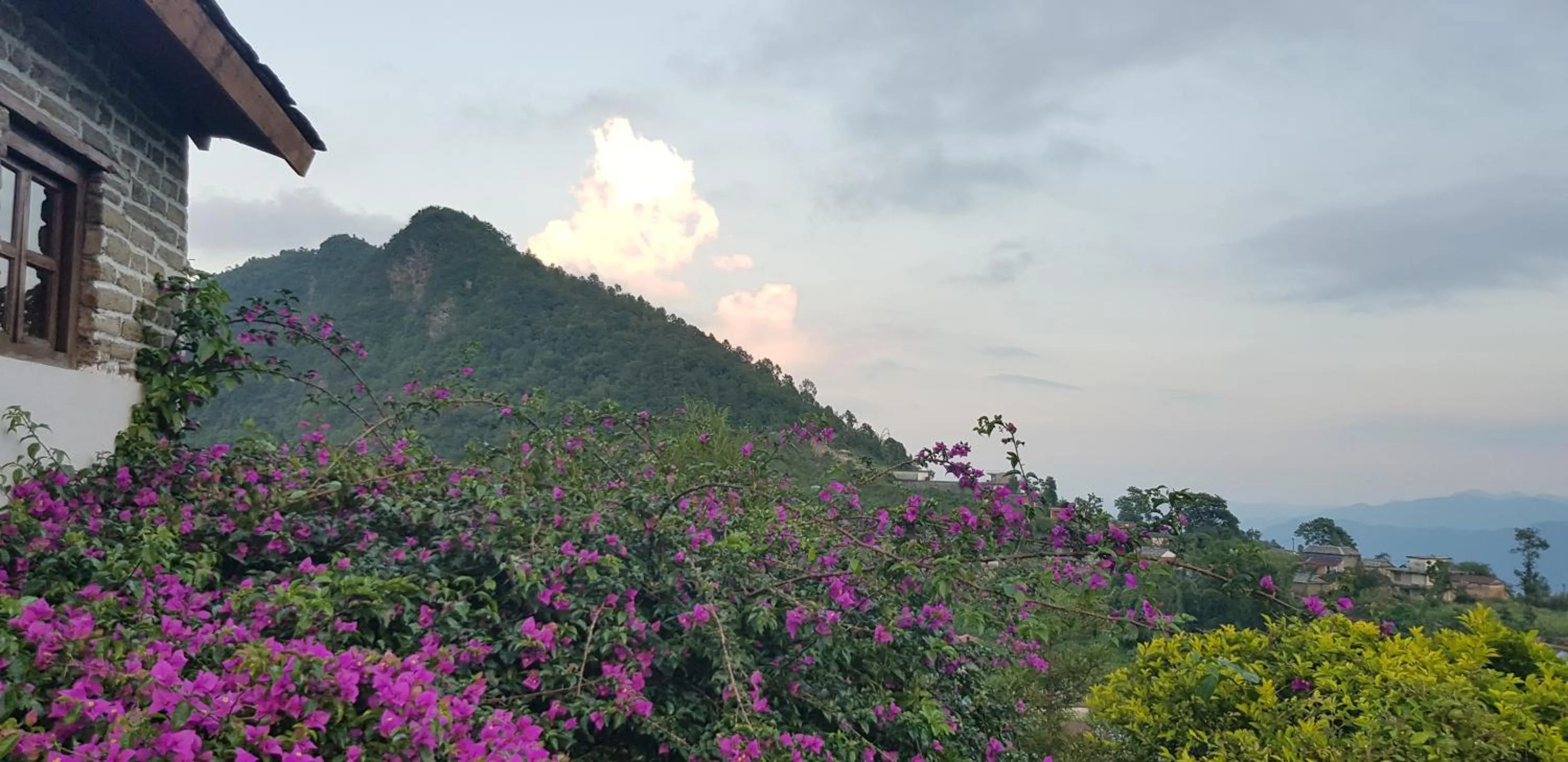 Neighbourhood in ES Deurali Resort