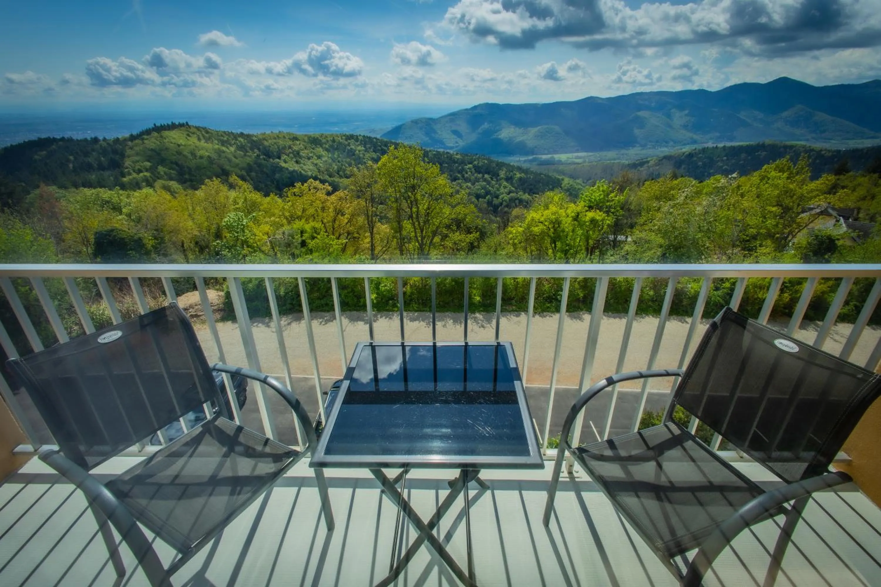 Natural landscape in Alexain Hotel Restaurant & Wellness - Colmar Ouest