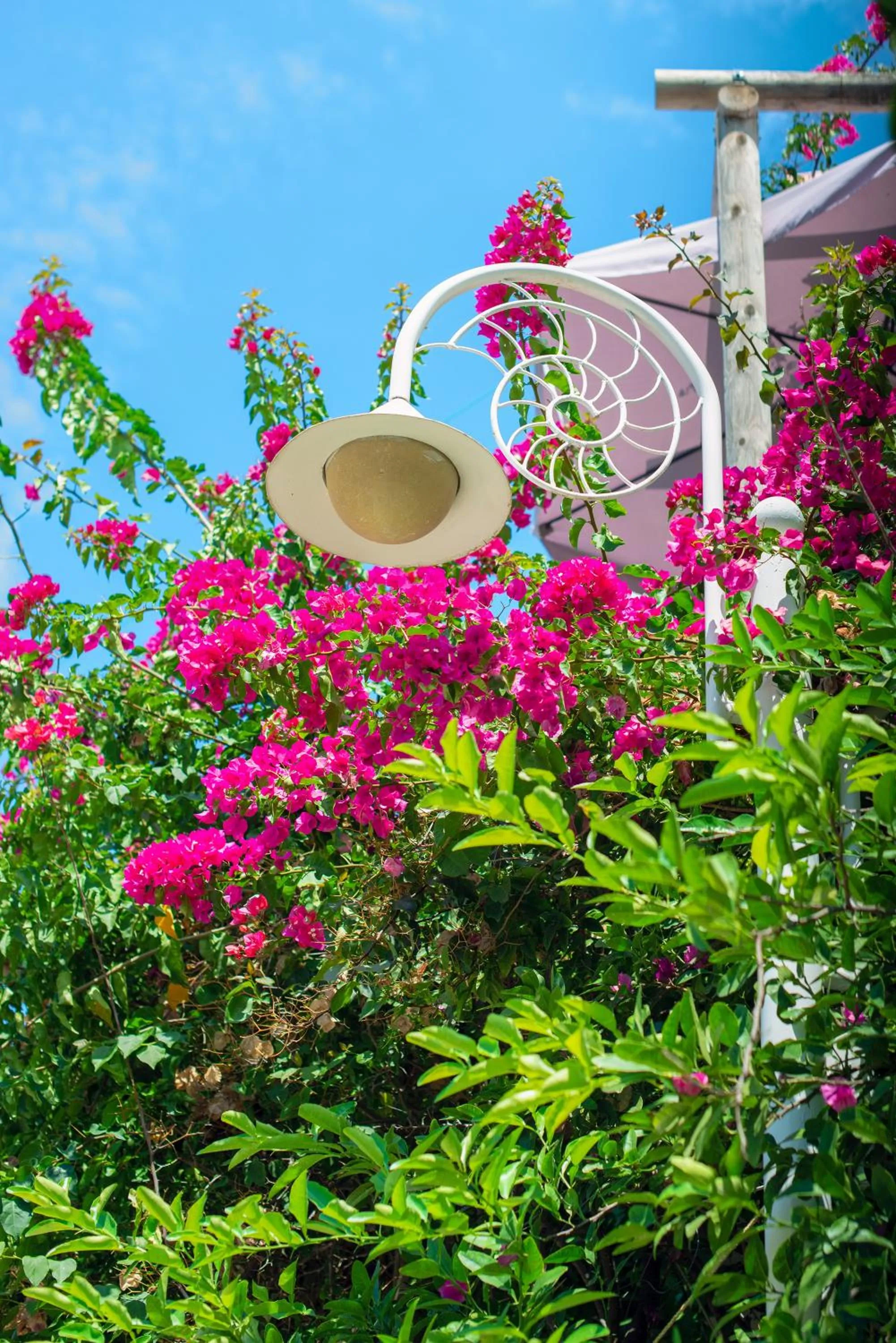 Decorative detail in Bougainville Bay Apartments