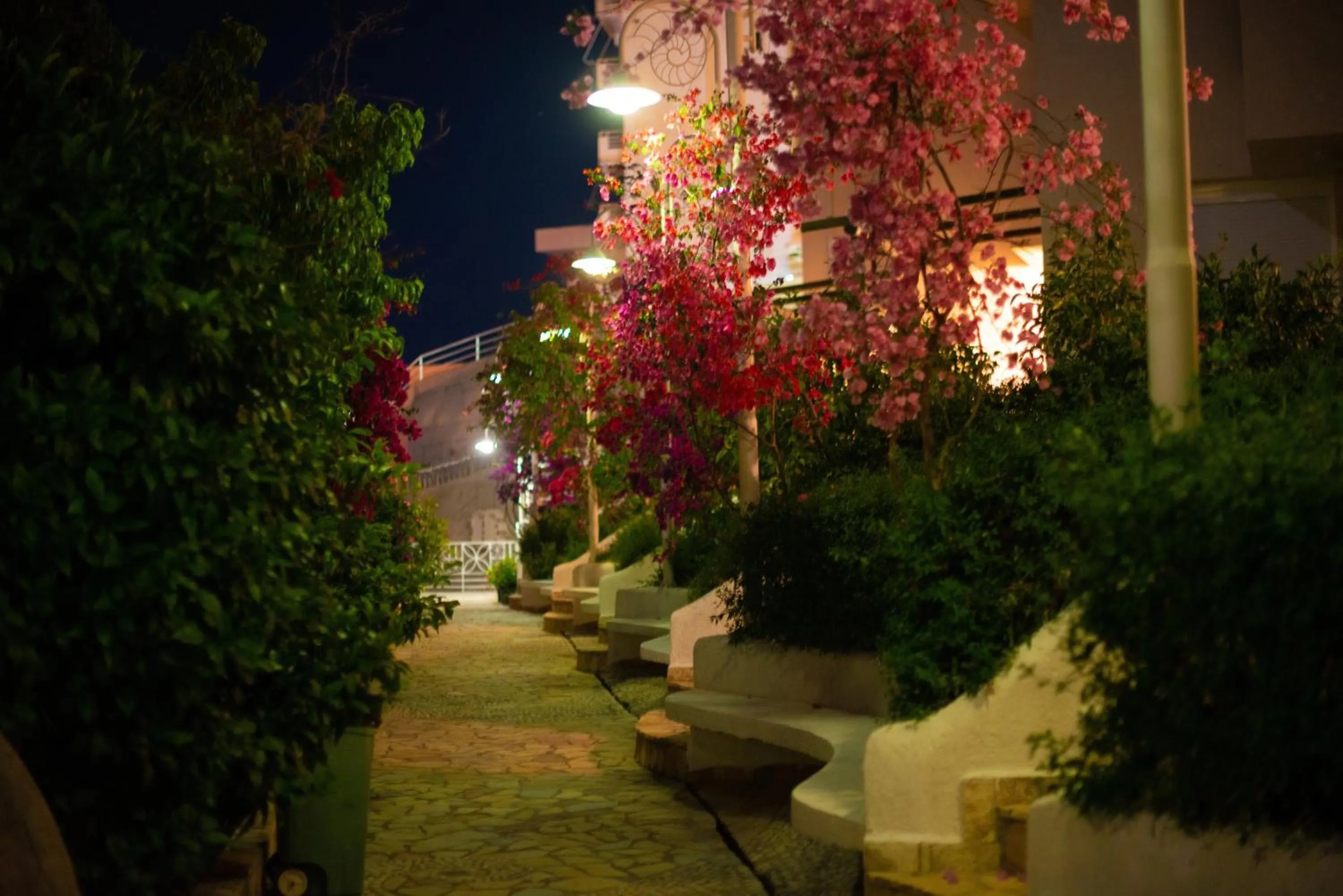 Garden in Bougainville Bay Apartments