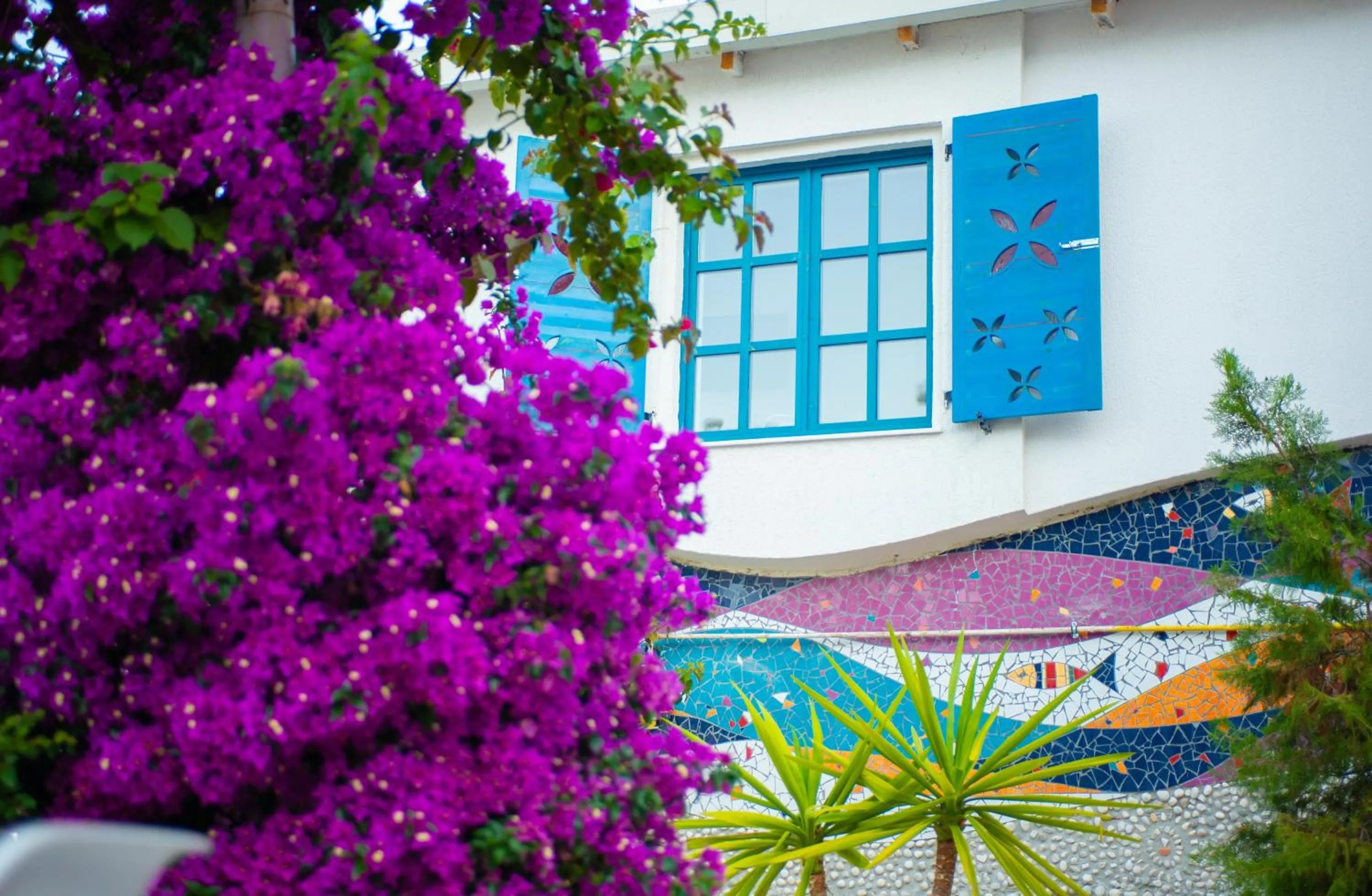 Garden in Bougainville Bay Apartments