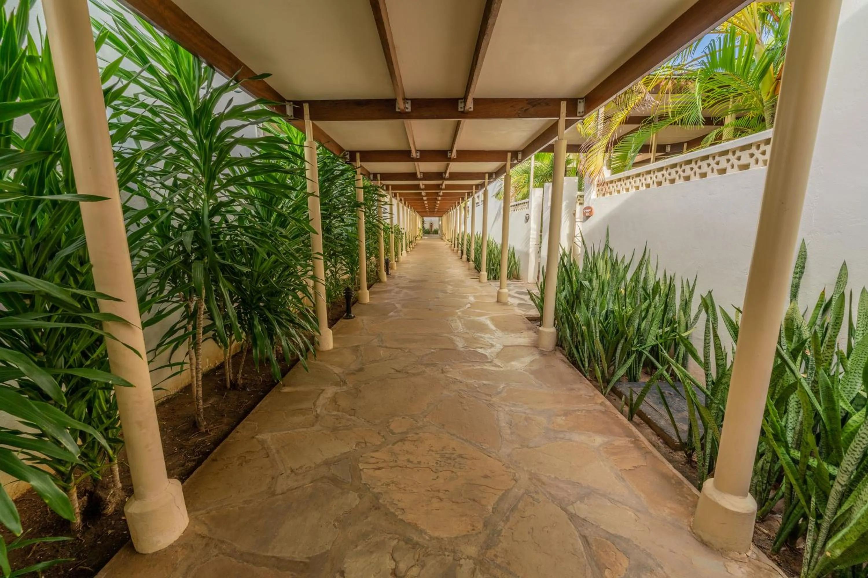 Day in Diamonds Dream of Africa