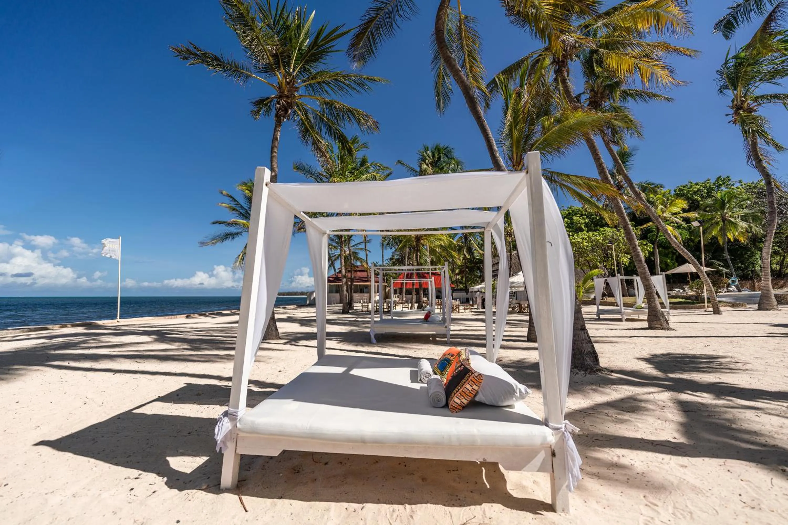 Day in Diamonds Dream of Africa