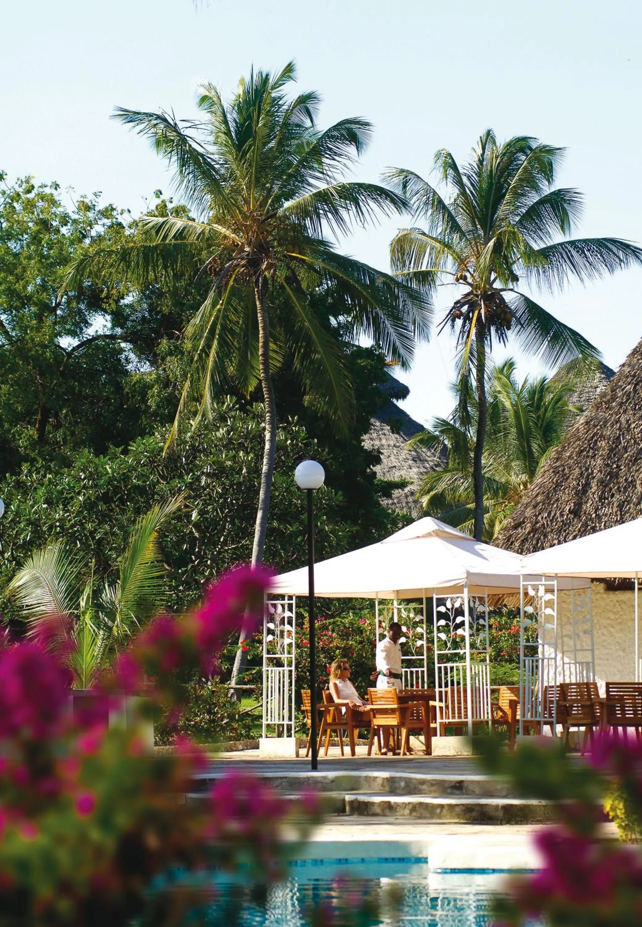 Garden in Diamonds Dream of Africa