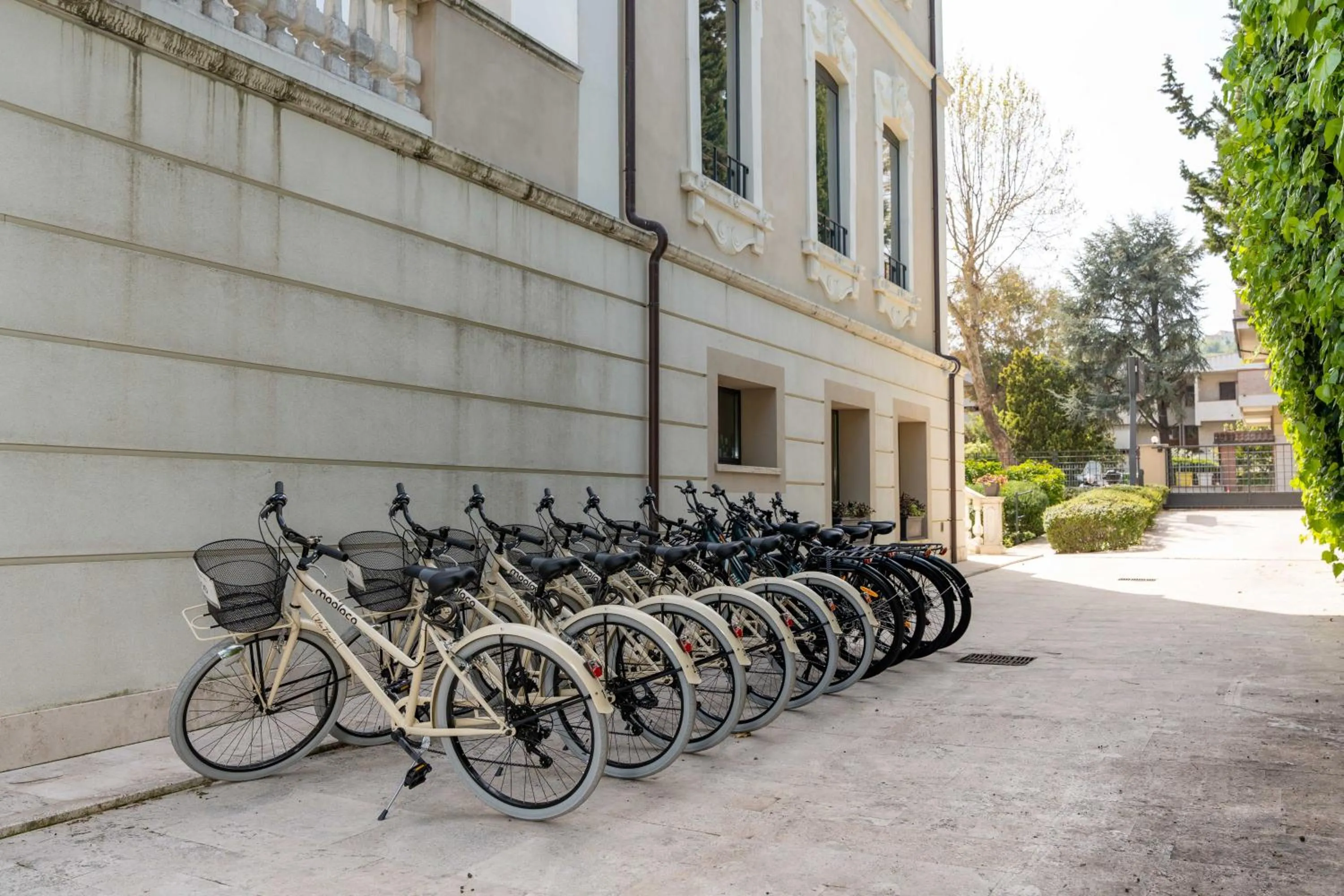 Cycling in Hotel 900