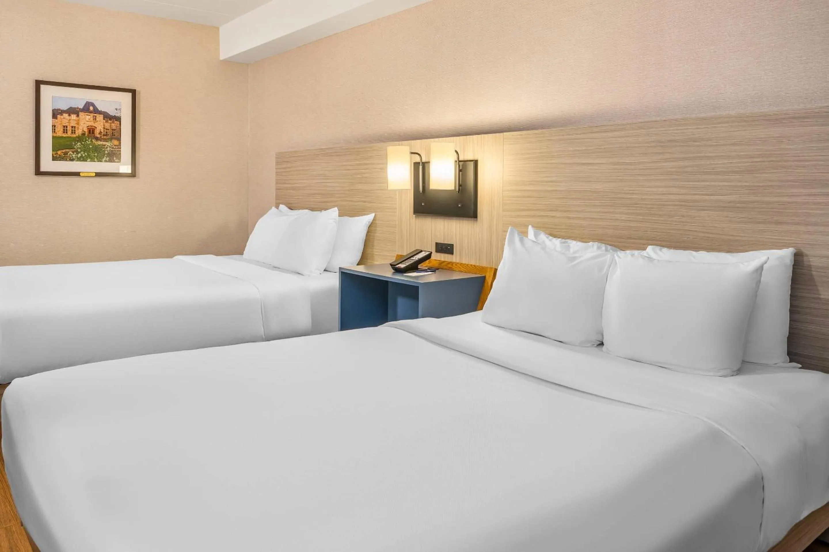 Bedroom, Bed in Comfort Inn