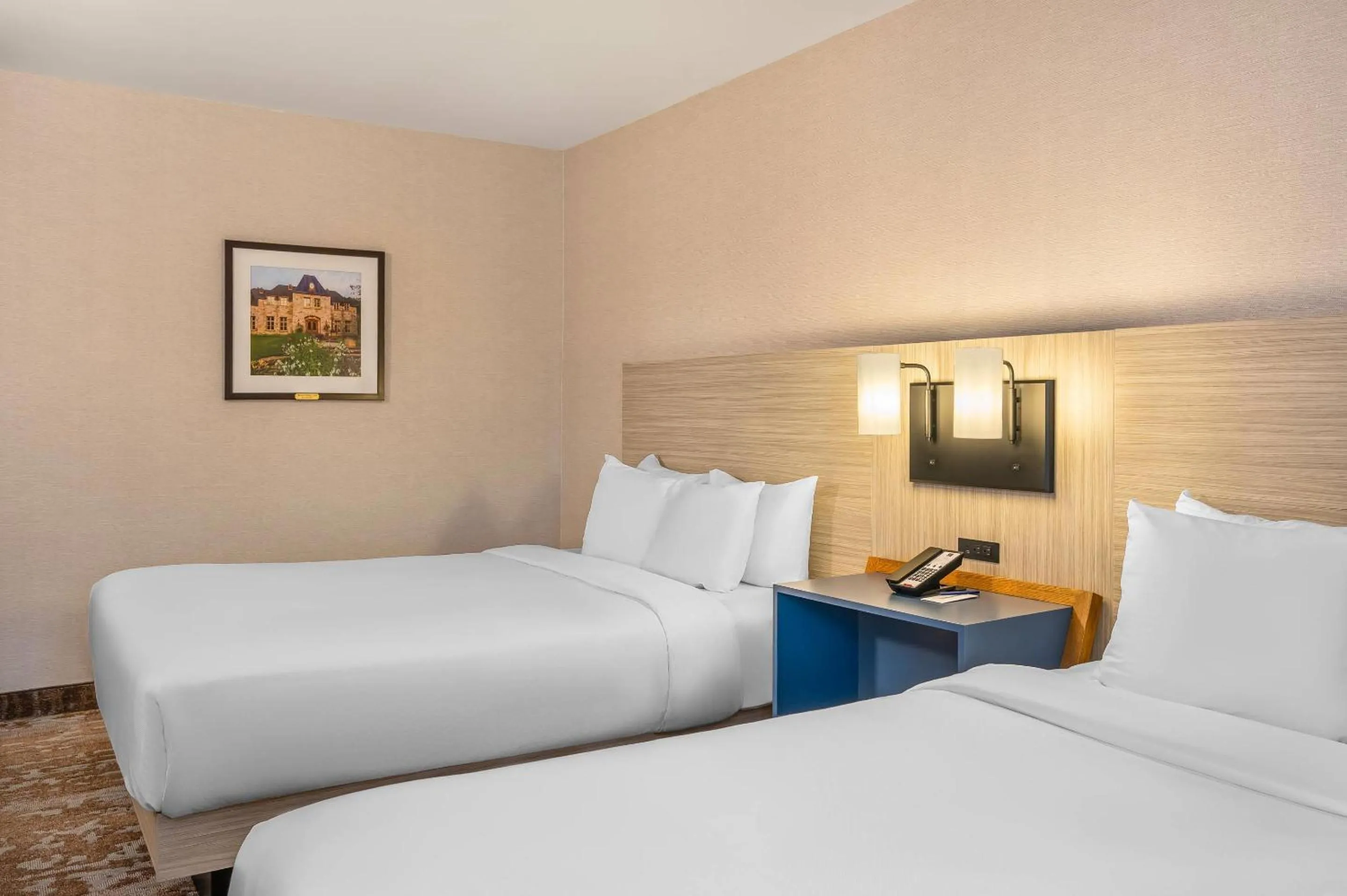 Bedroom, Bed in Comfort Inn