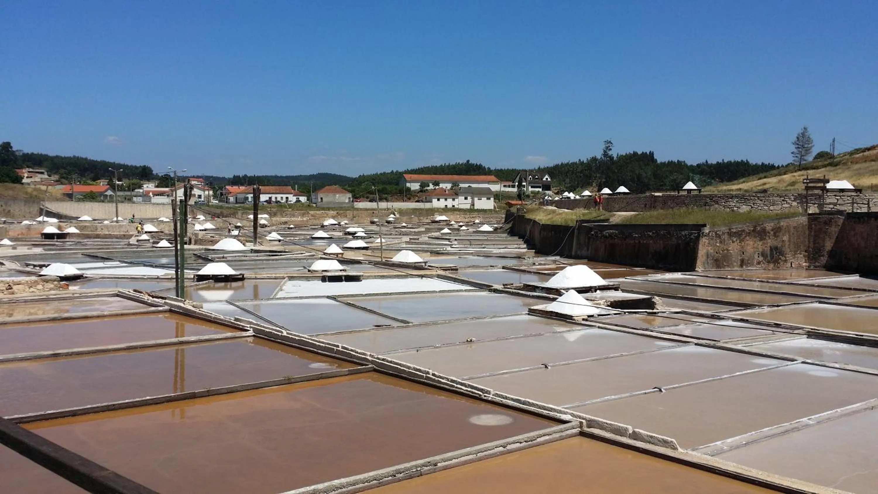 Off site in BB Silvercoast Casa das Flores