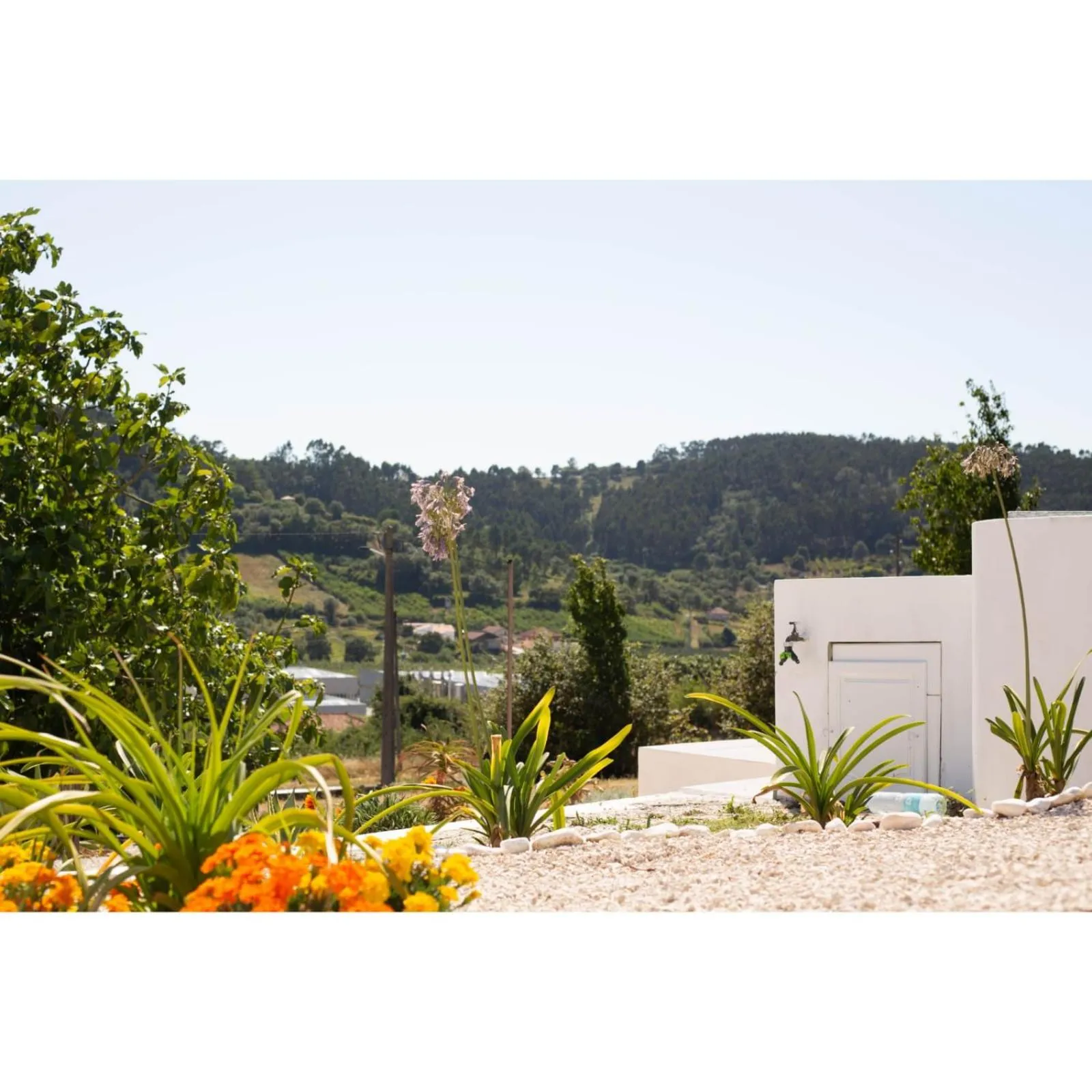 Garden in BB Silvercoast Casa das Flores