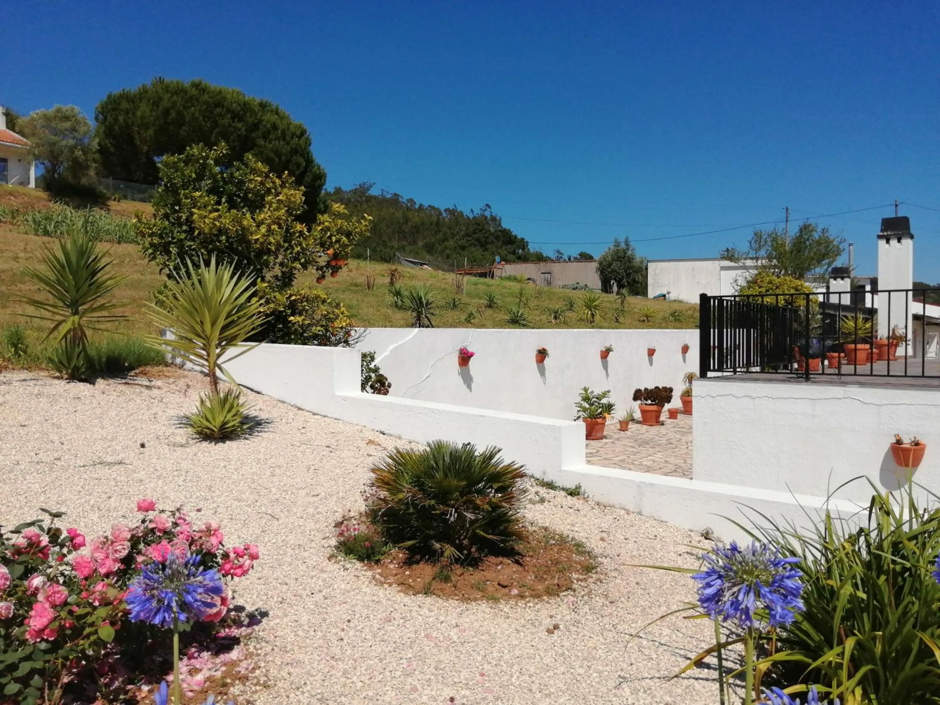 Garden in BB Silvercoast Casa das Flores