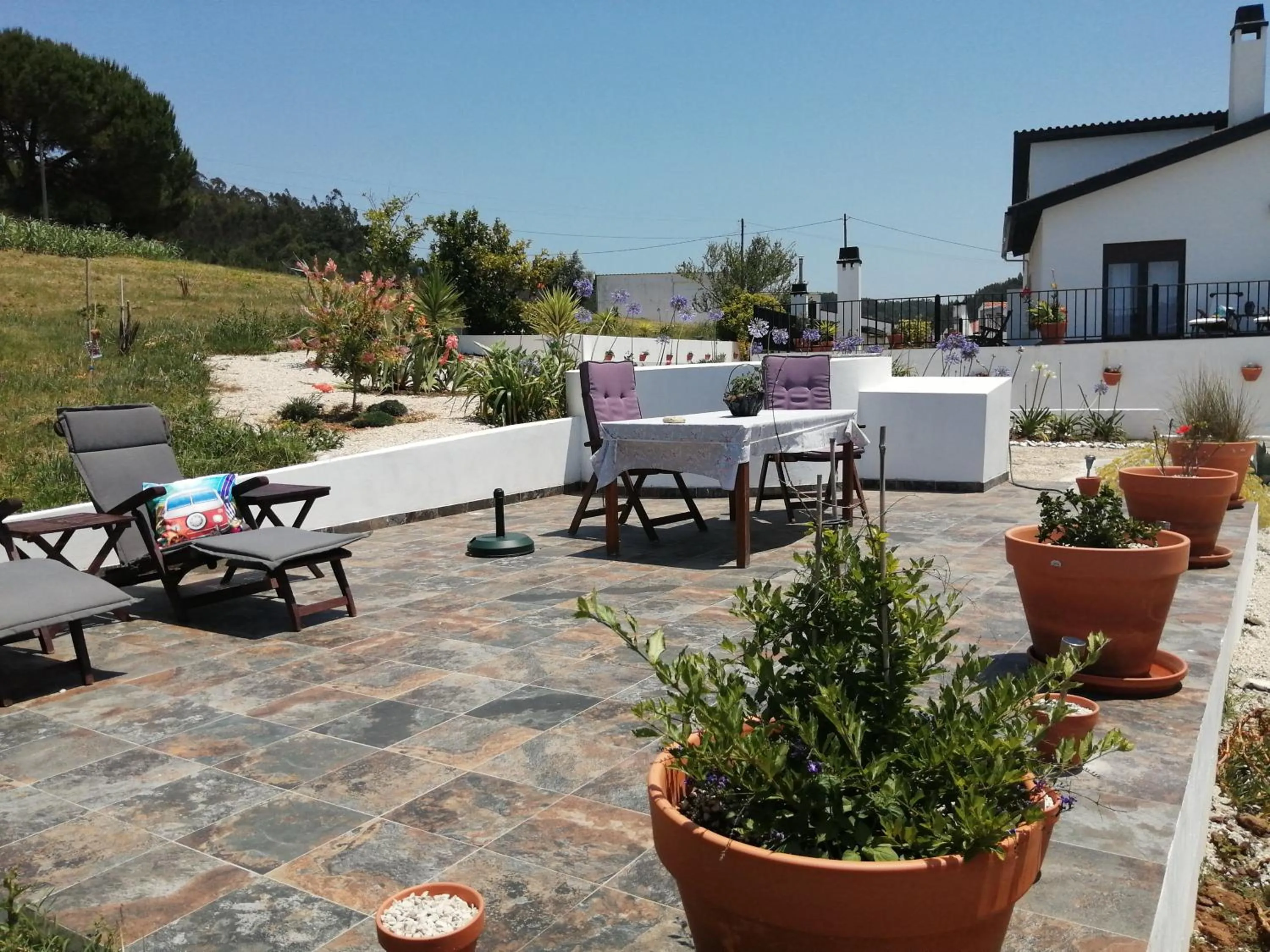 Garden in BB Silvercoast Casa das Flores