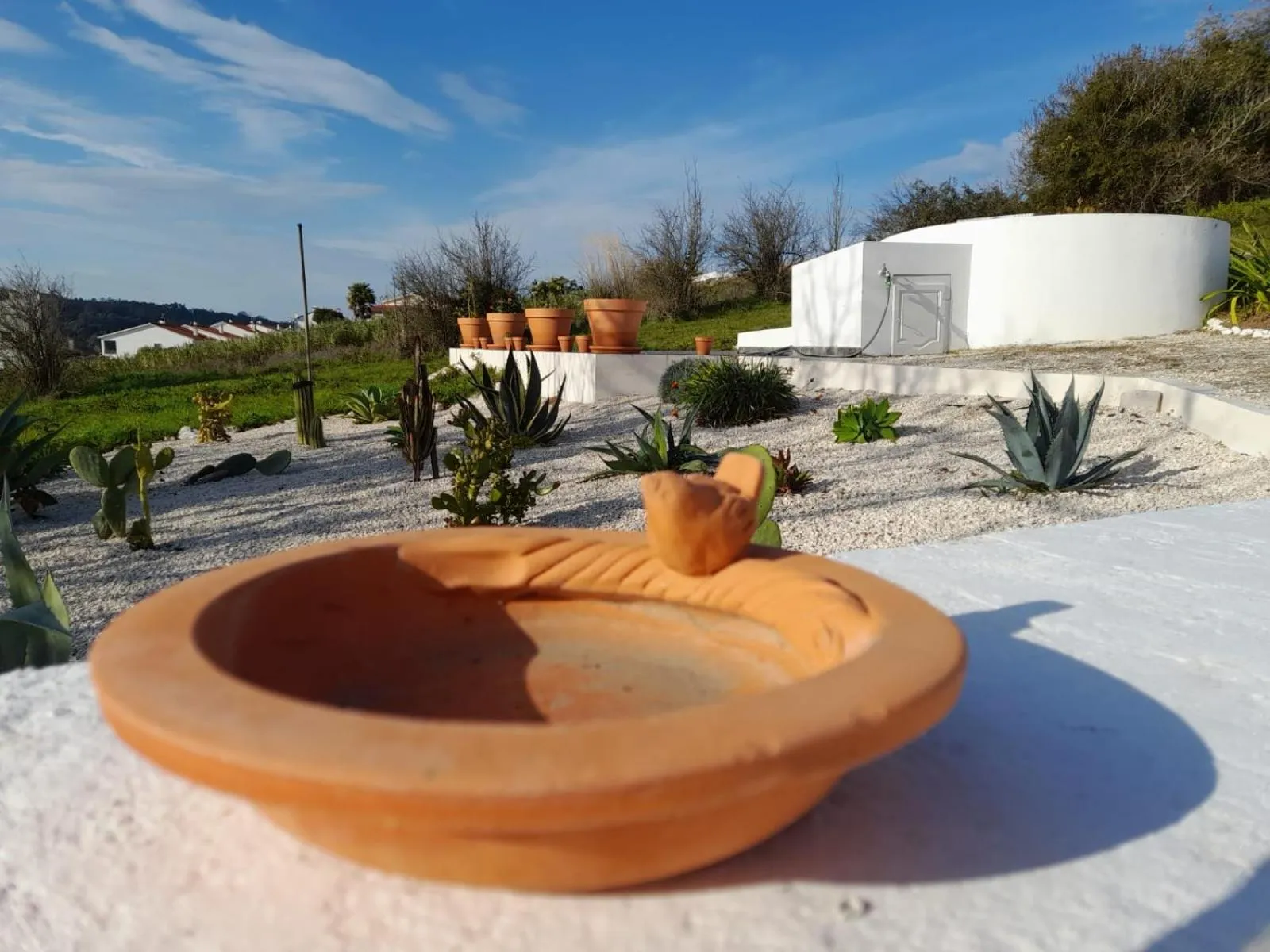 Garden in BB Silvercoast Casa das Flores