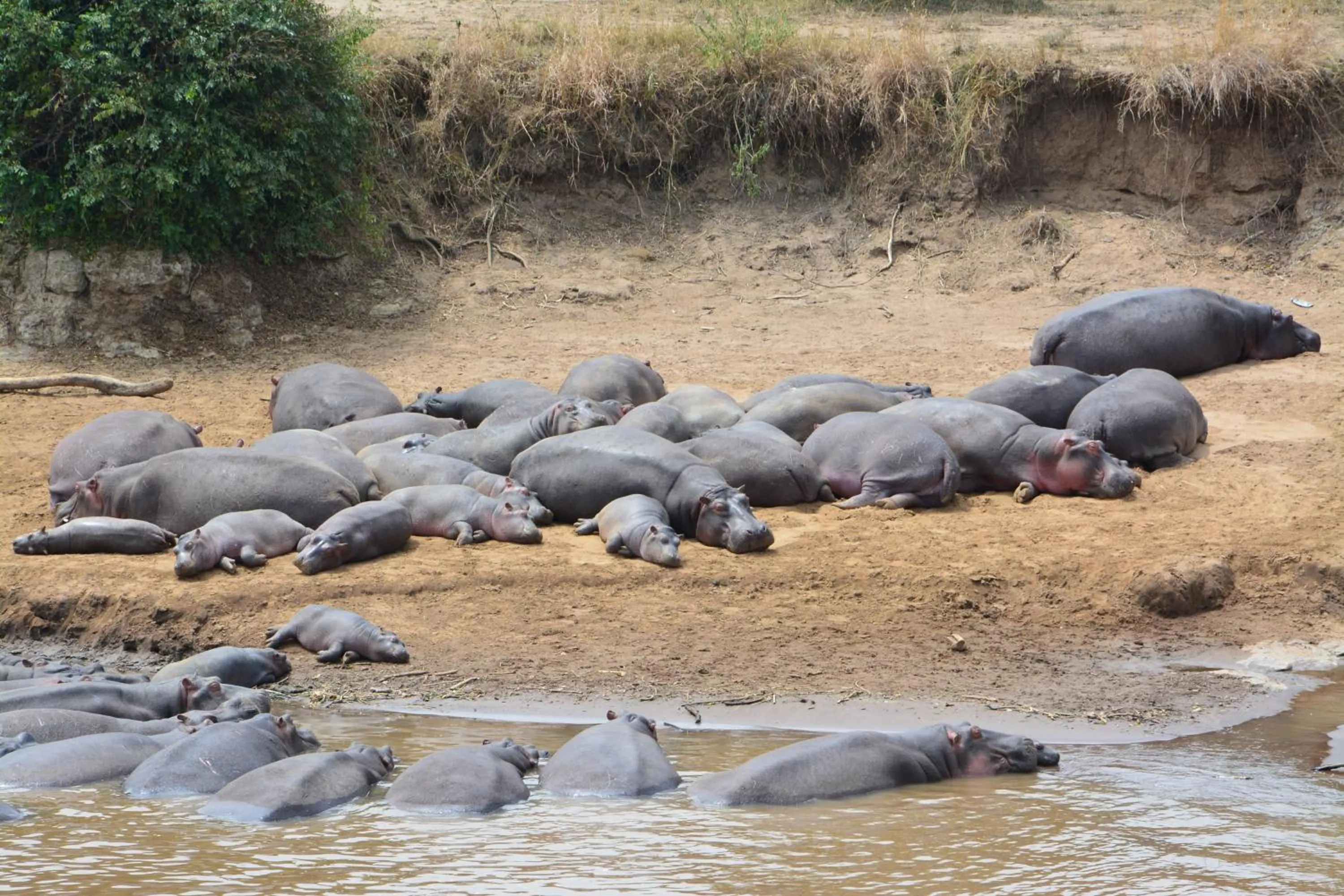 View (from property/room) in Neptune Mara Rianta Luxury Camp - All Inclusive.
