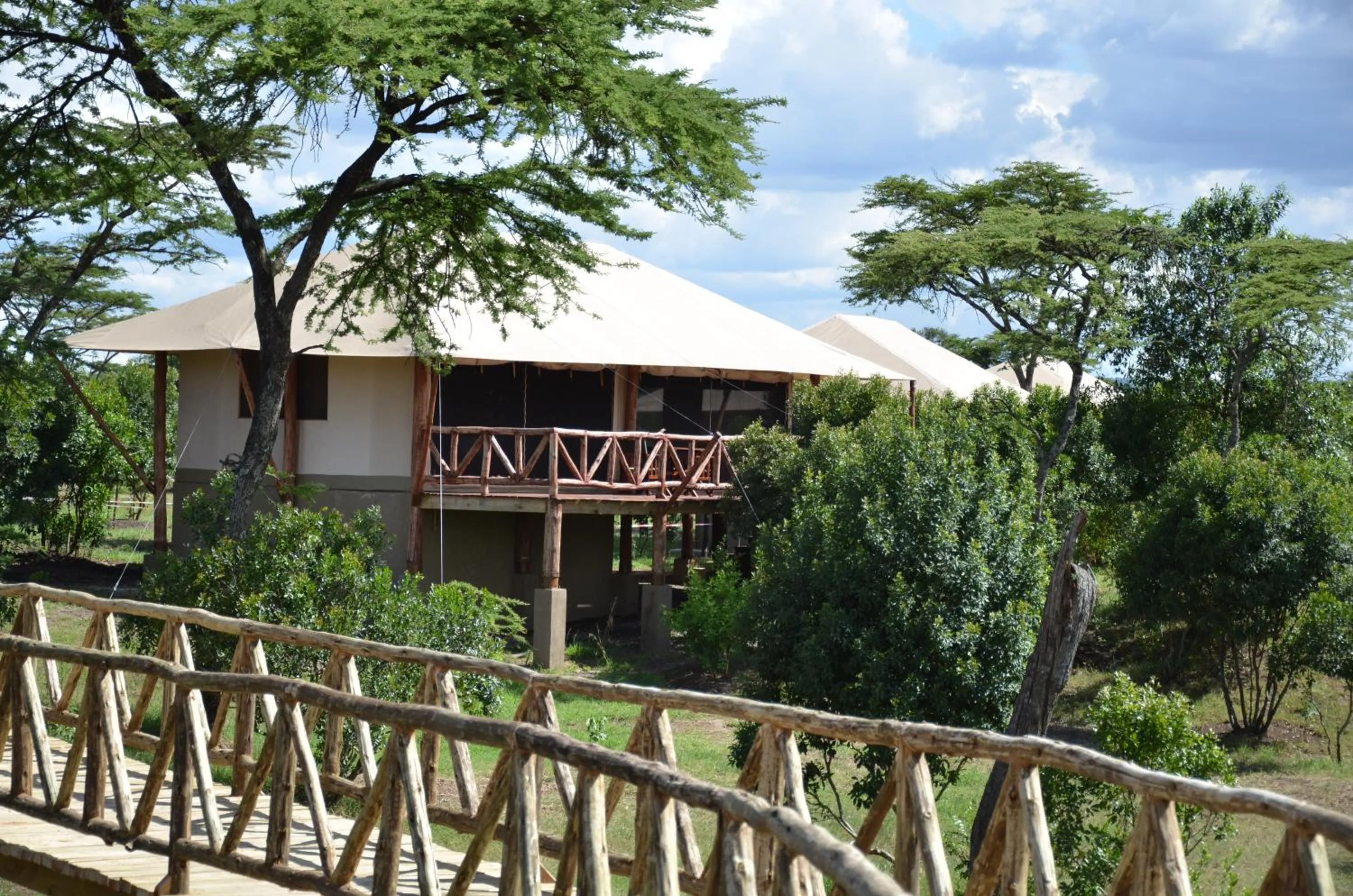 Photo of the whole room in Neptune Mara Rianta Luxury Camp - All Inclusive.