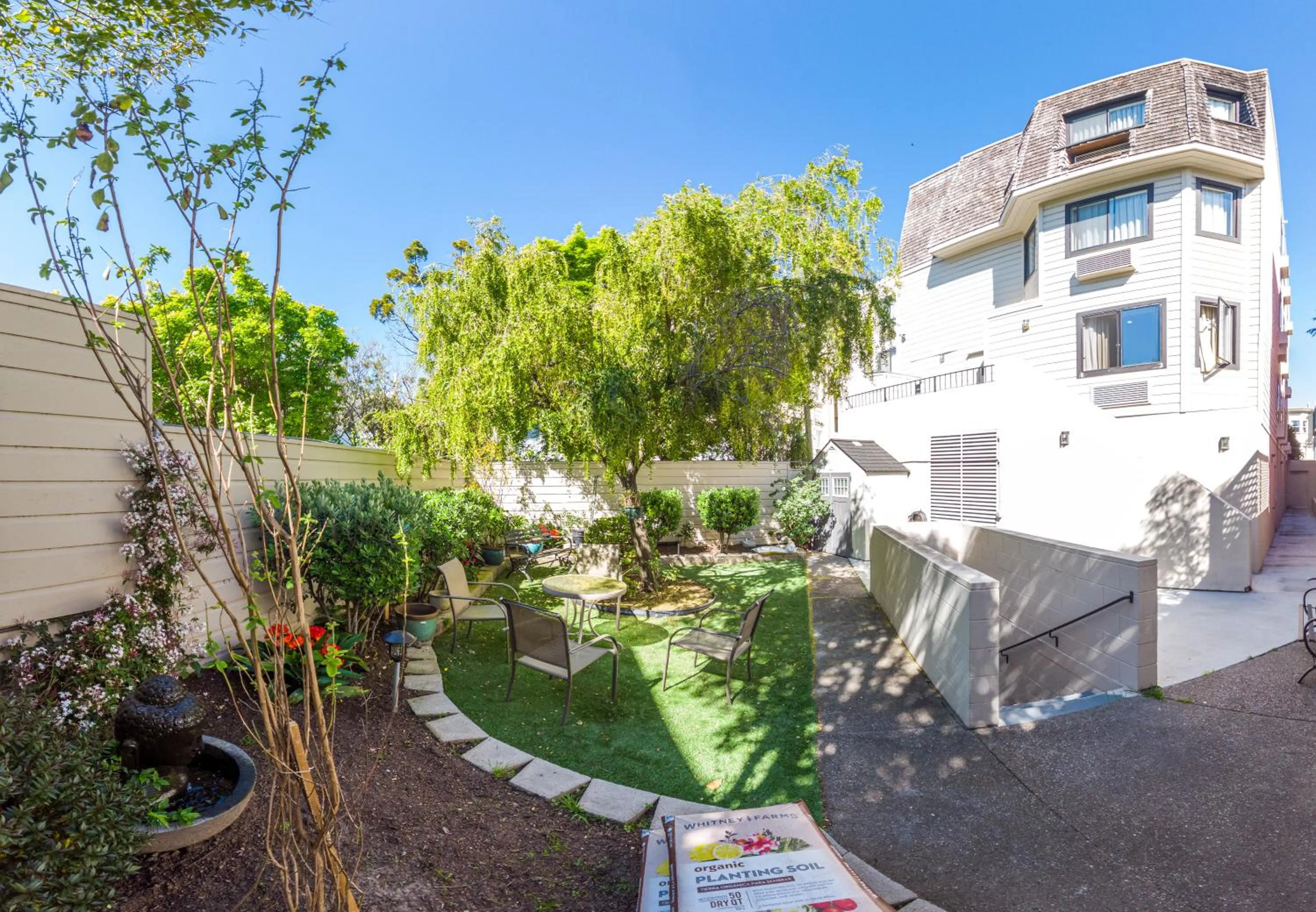 Garden in Buena Vista Motor Inn