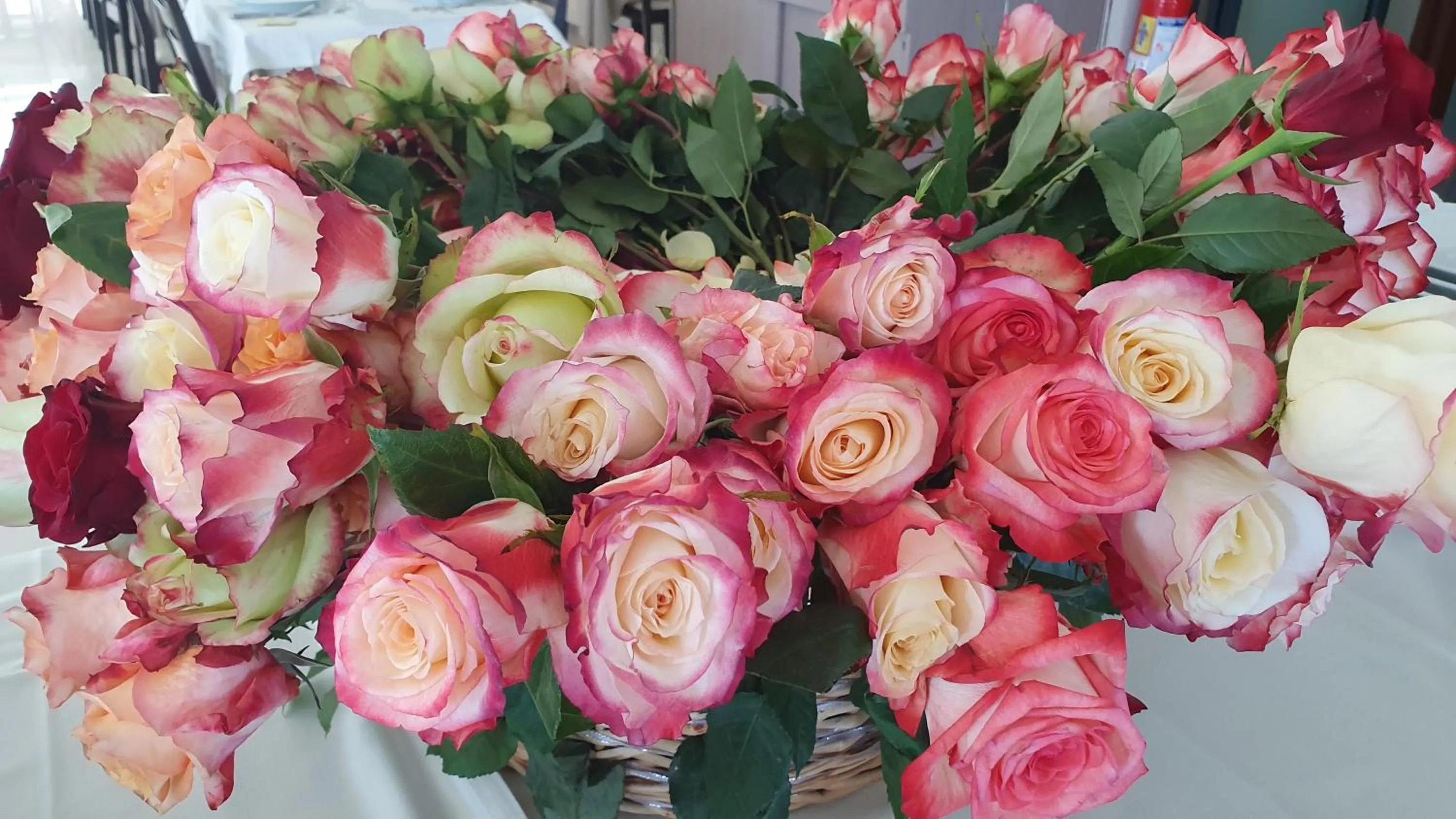 Restaurant/places to eat in Hotel Napoleon