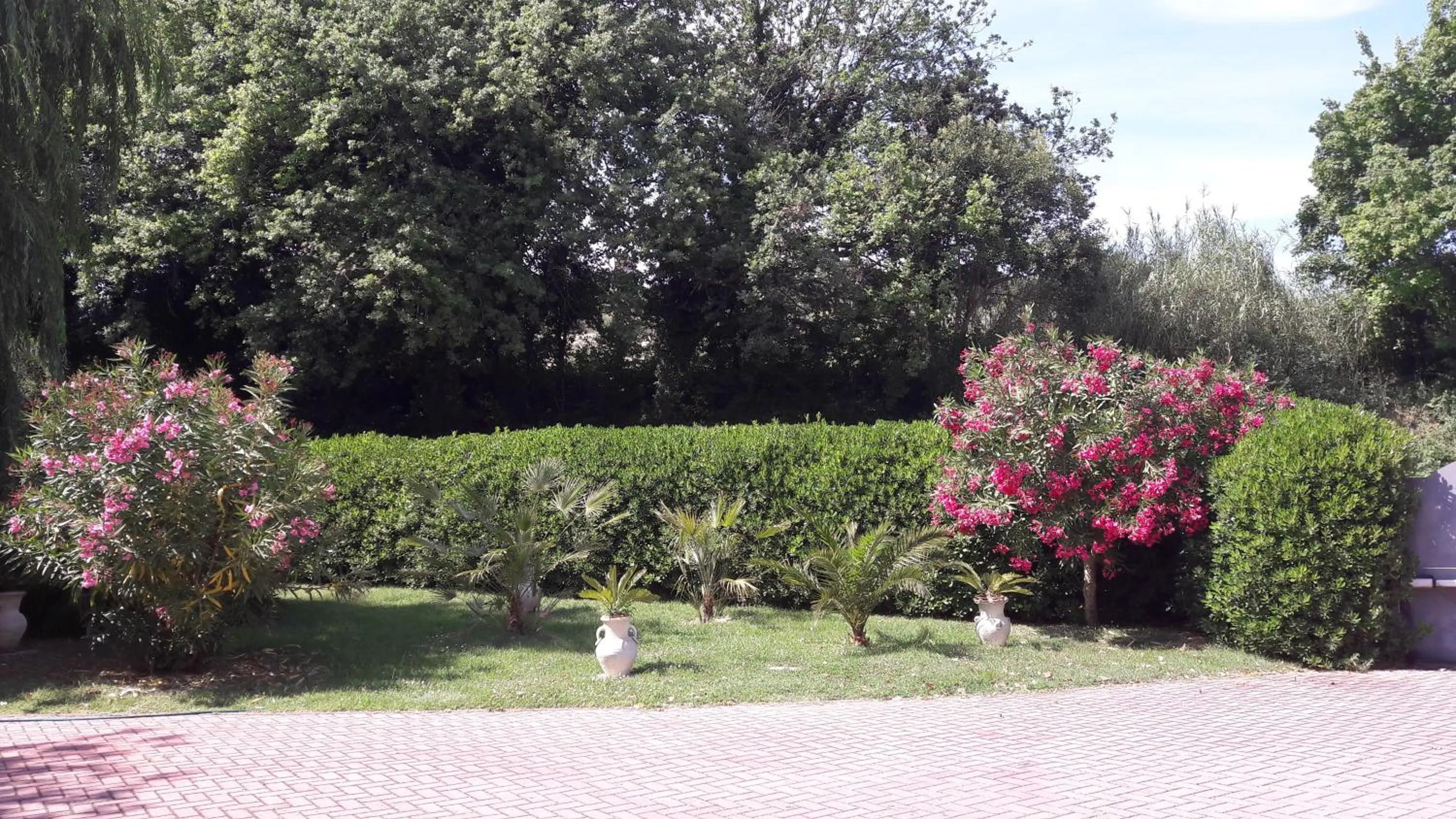 Garden in Villa Fabbri