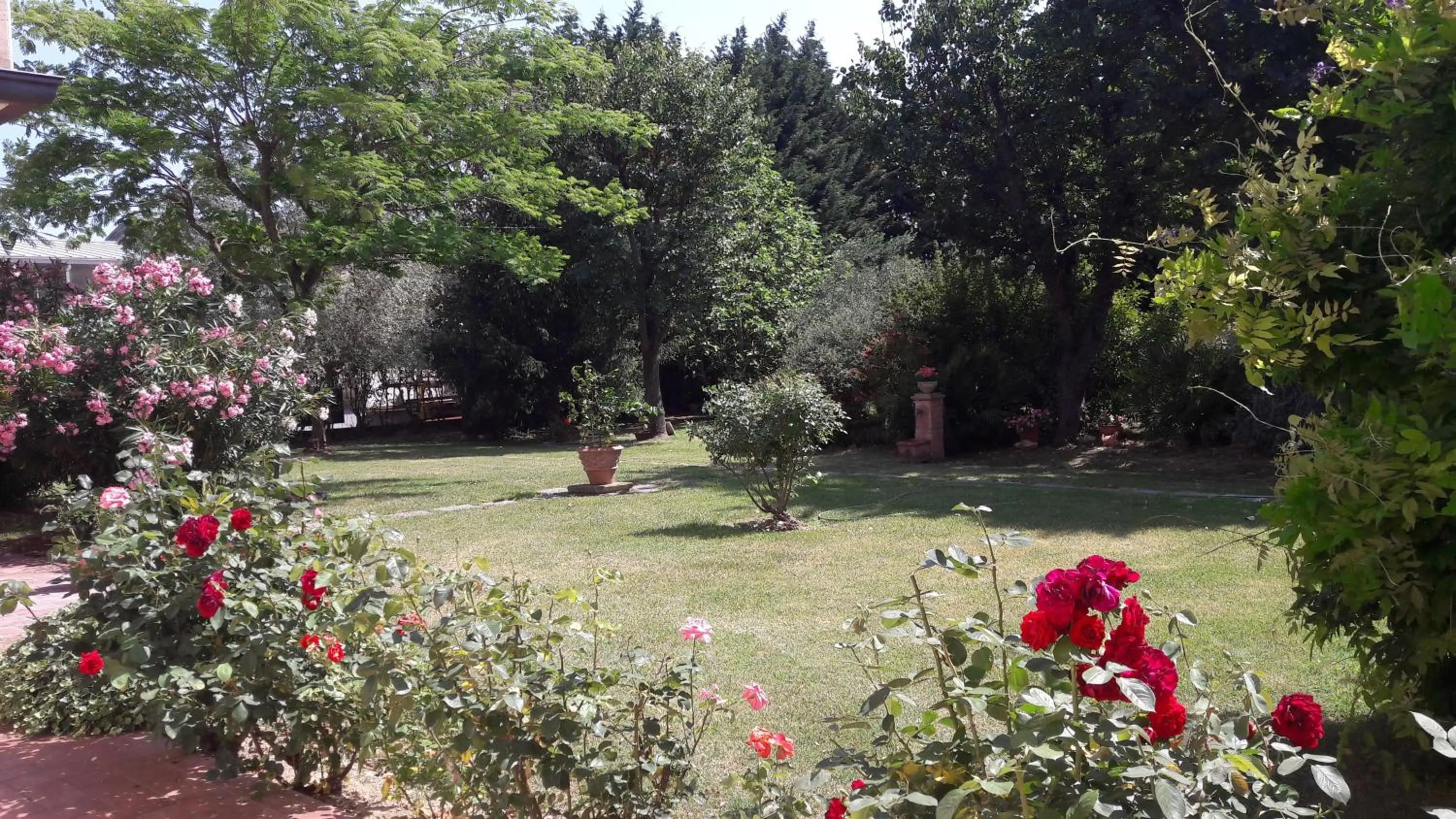 Garden in Villa Fabbri
