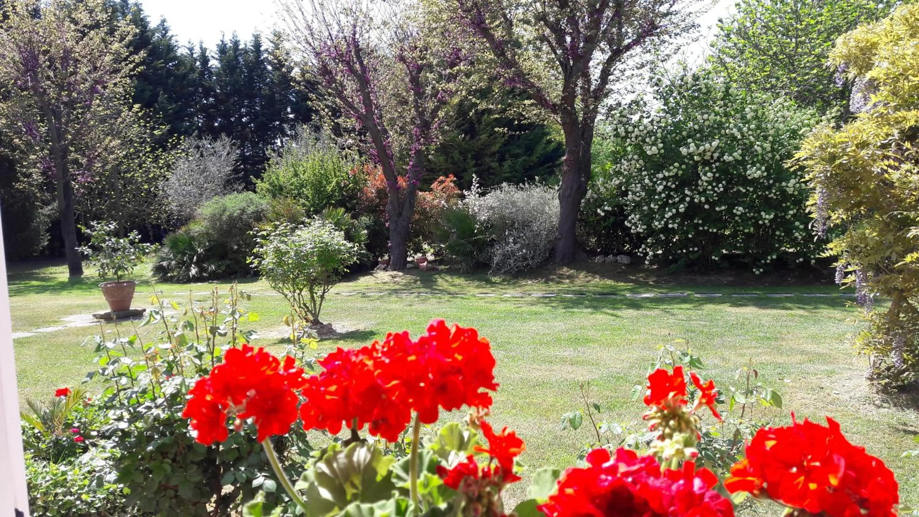 Garden in Villa Fabbri