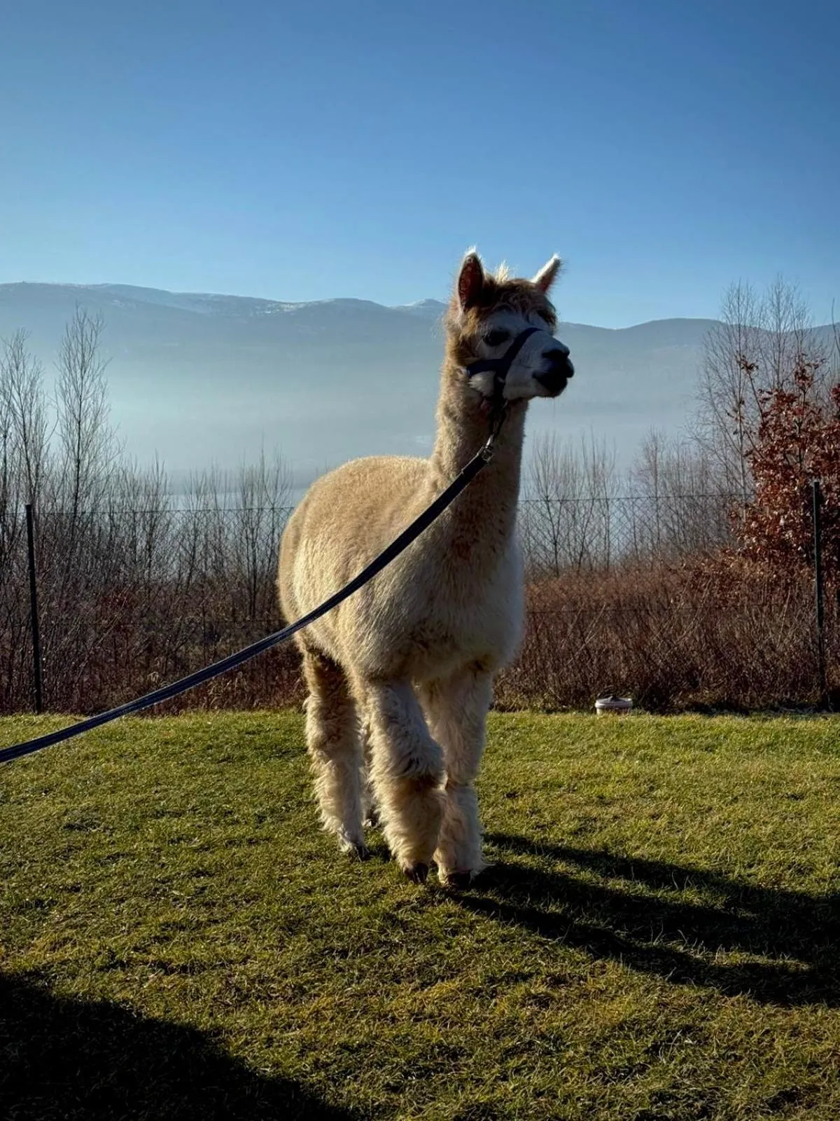 Area and facilities in Lake Hill Karkonosze Resort & Spa