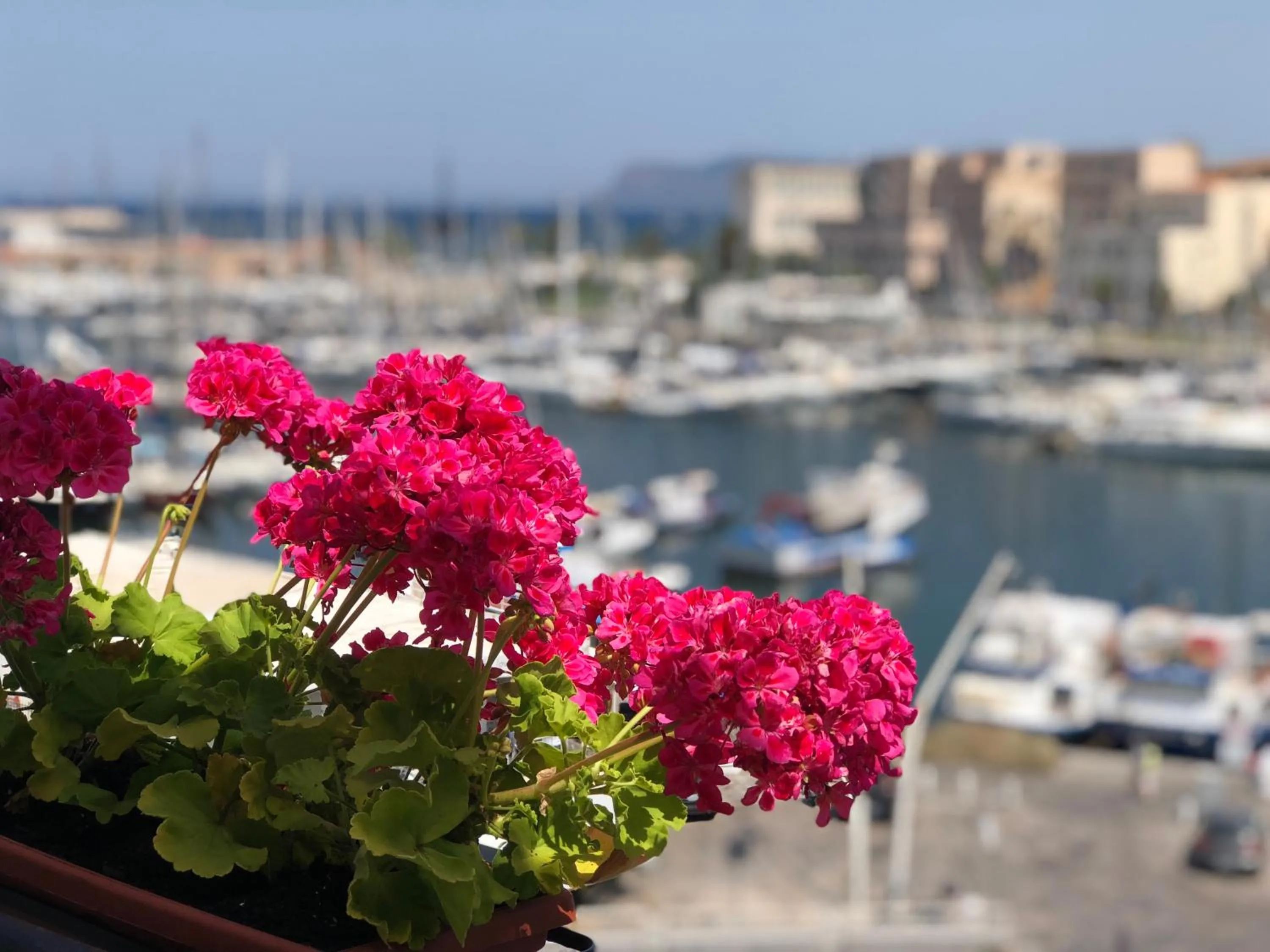 Balcony/Terrace in Kasa Kala Rooms & Apartments
