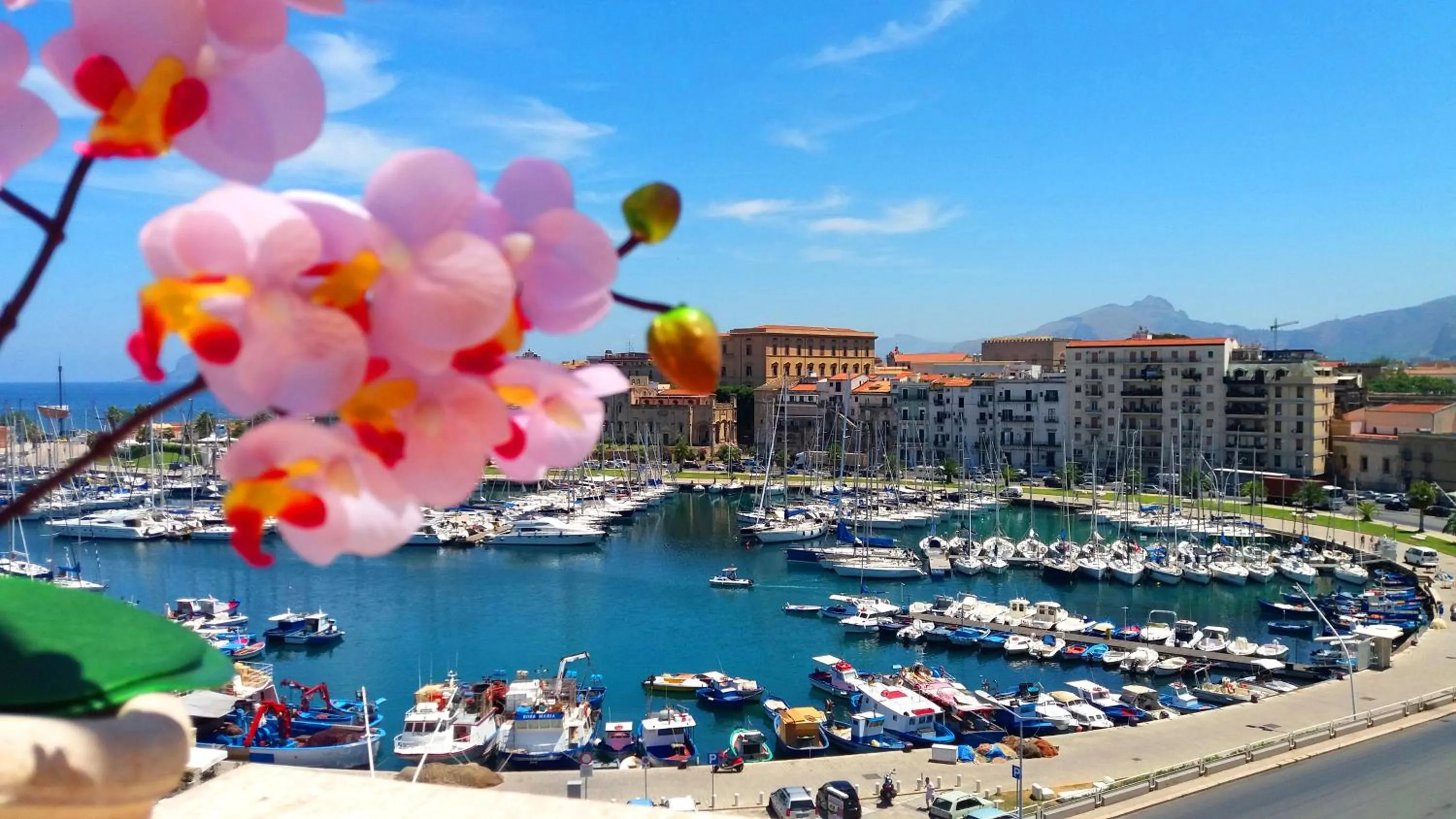 City view in Kasa Kala Rooms & Apartments