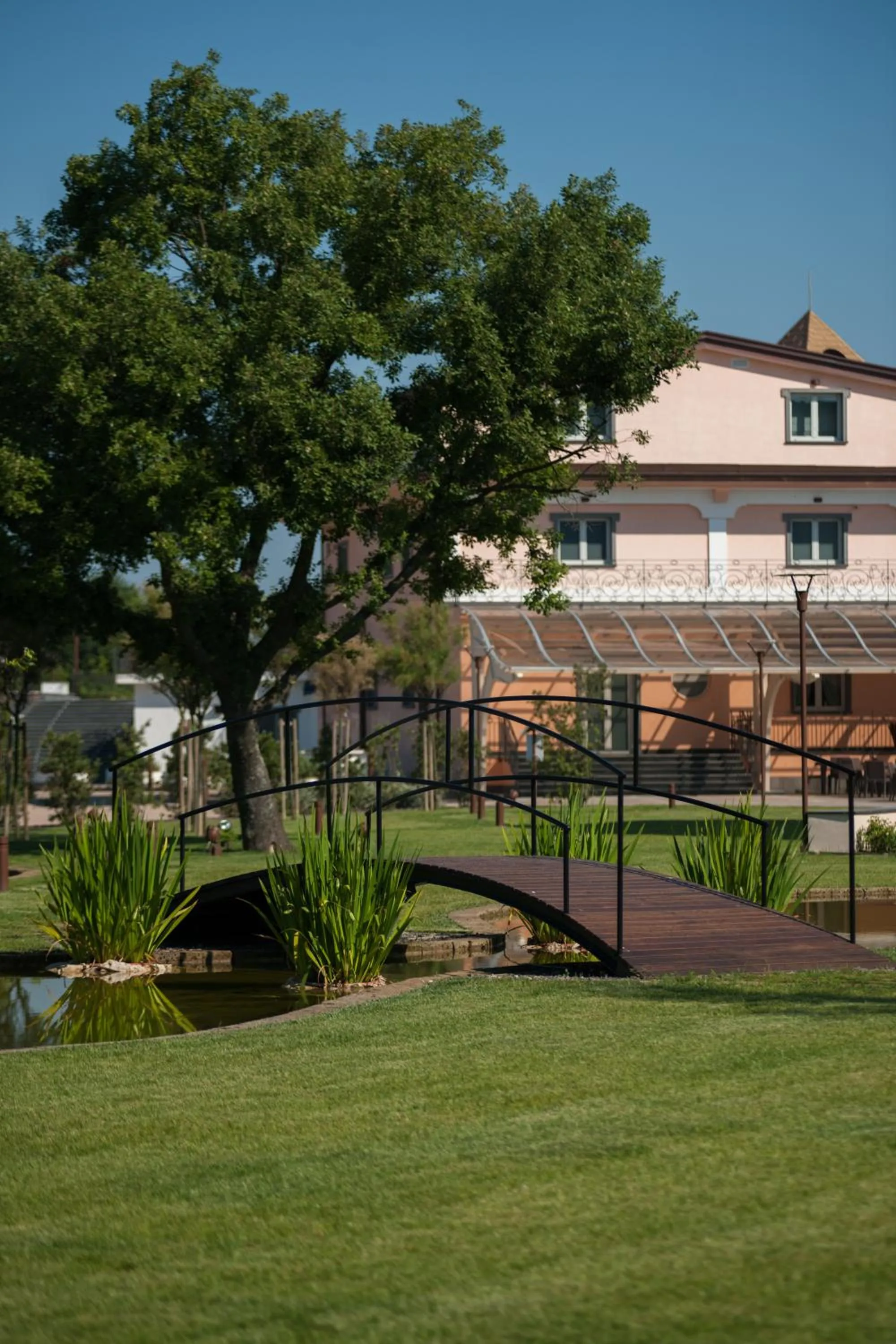 Garden in L' Araba Fenice Hotel & Resort