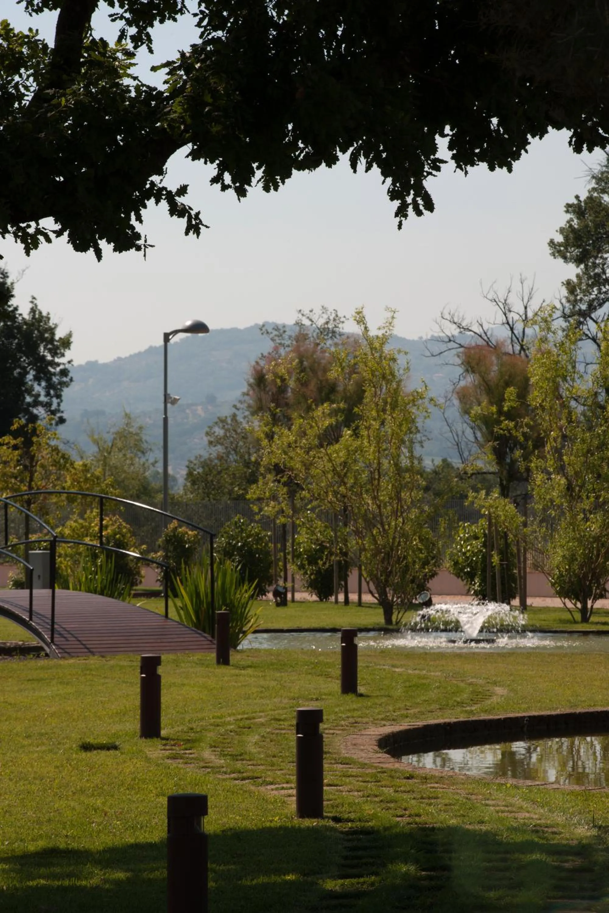 Garden in L' Araba Fenice Hotel & Resort