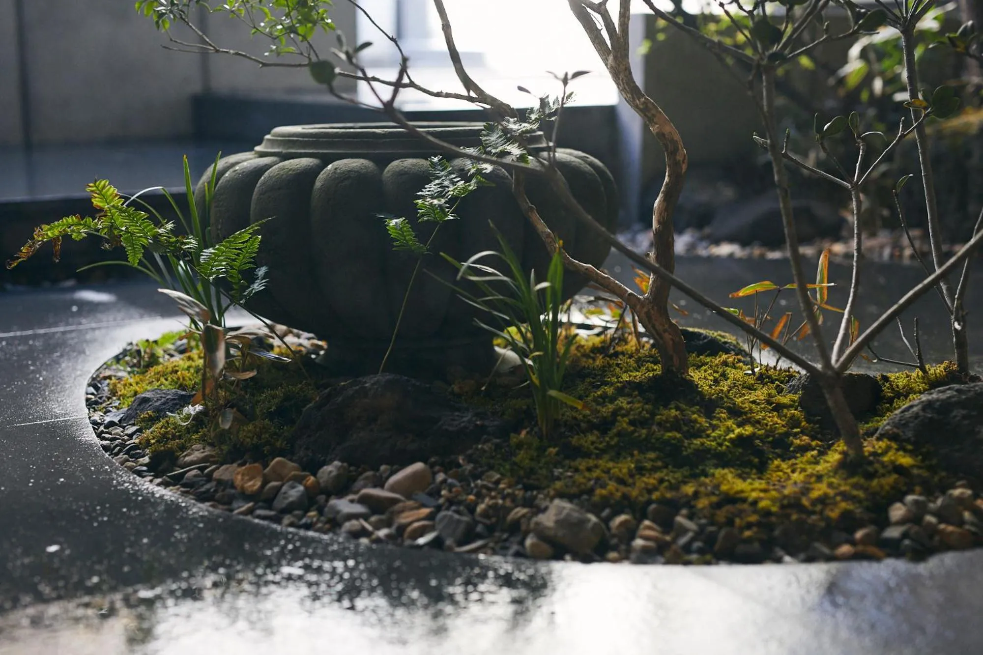 Garden in cyashitsu ryokan asakusa
