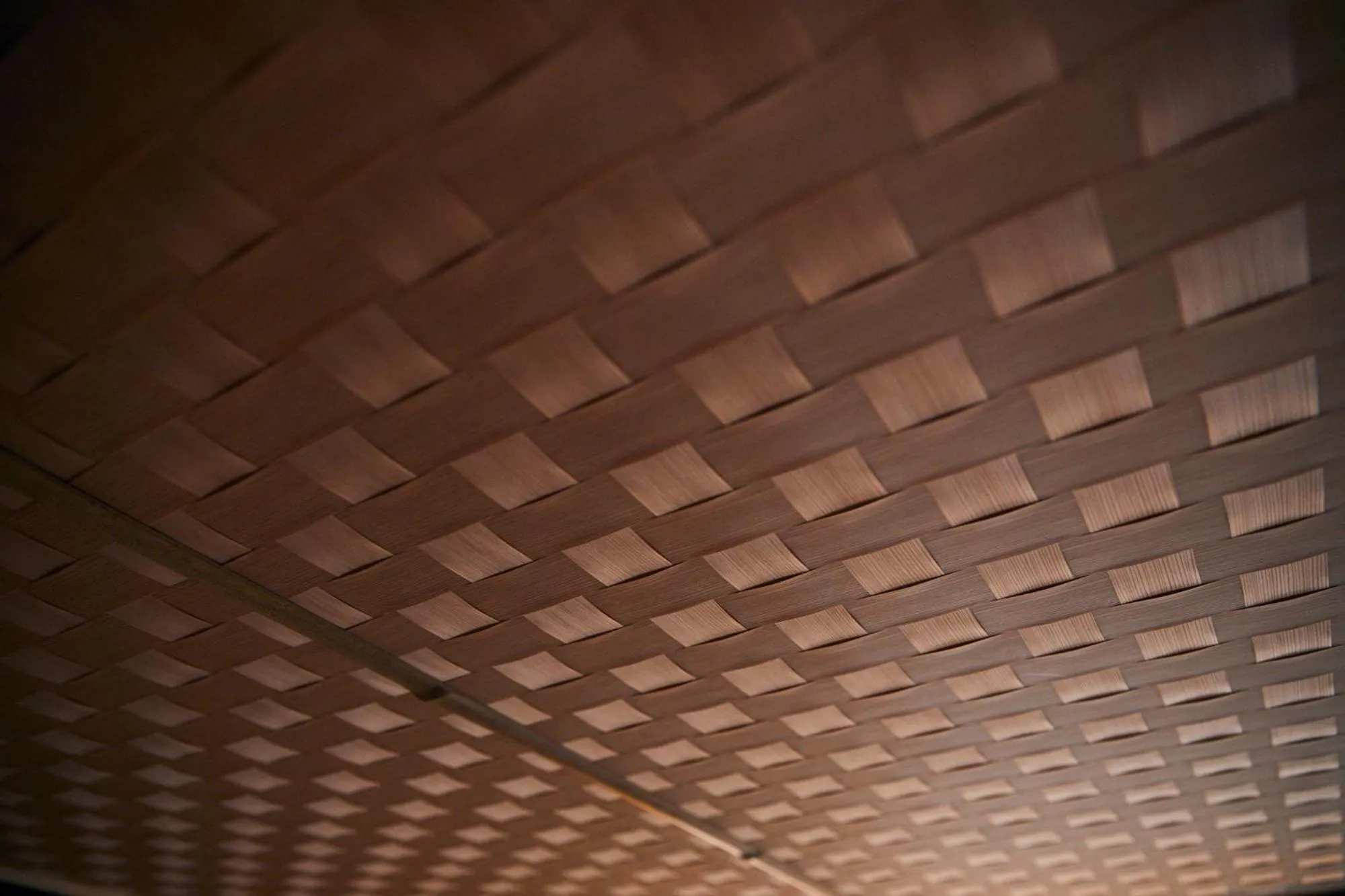 cyashitsu ryokan asakusa