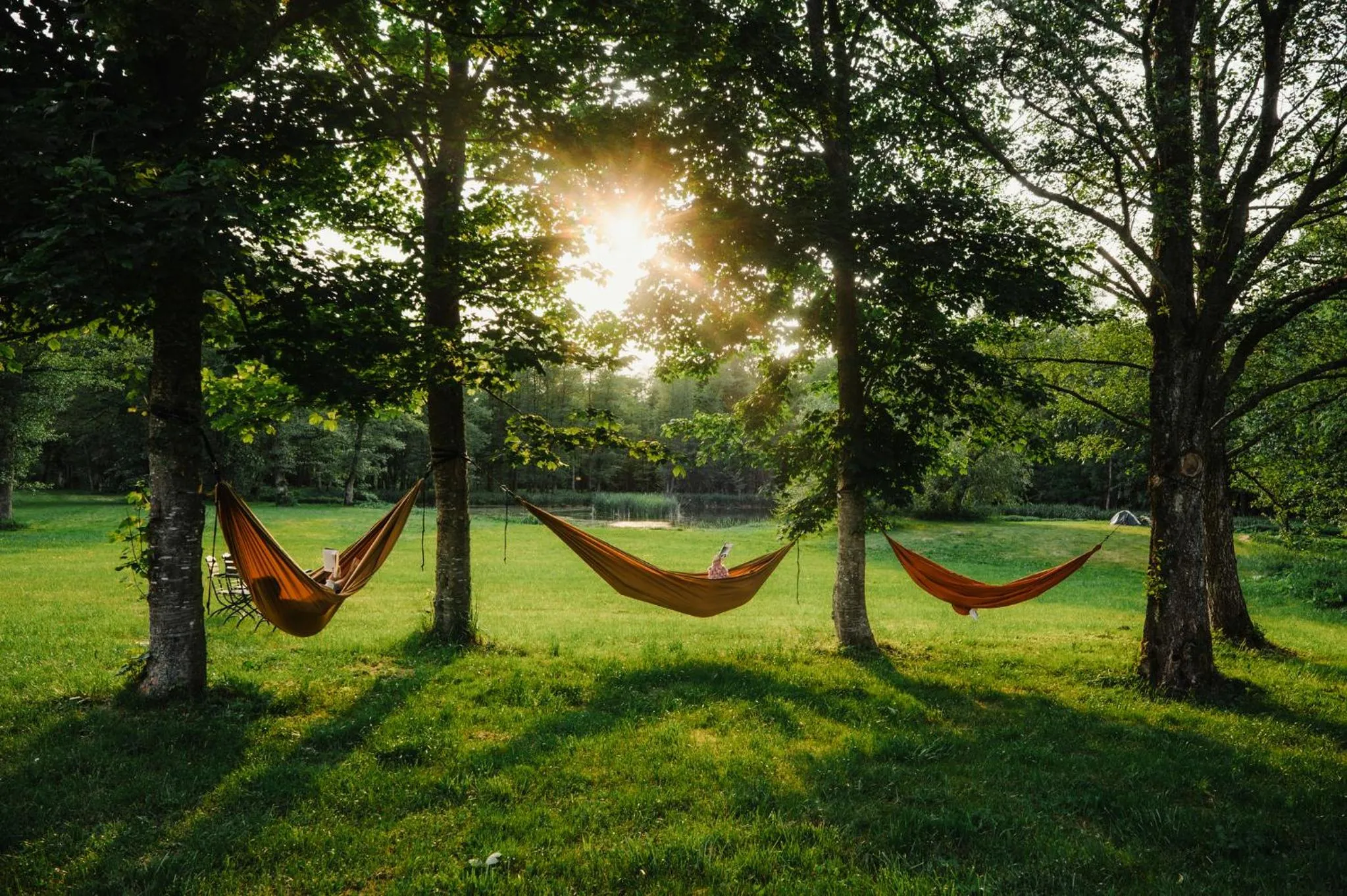 Folwark Wielka Wieś - Pałac pod Dębem