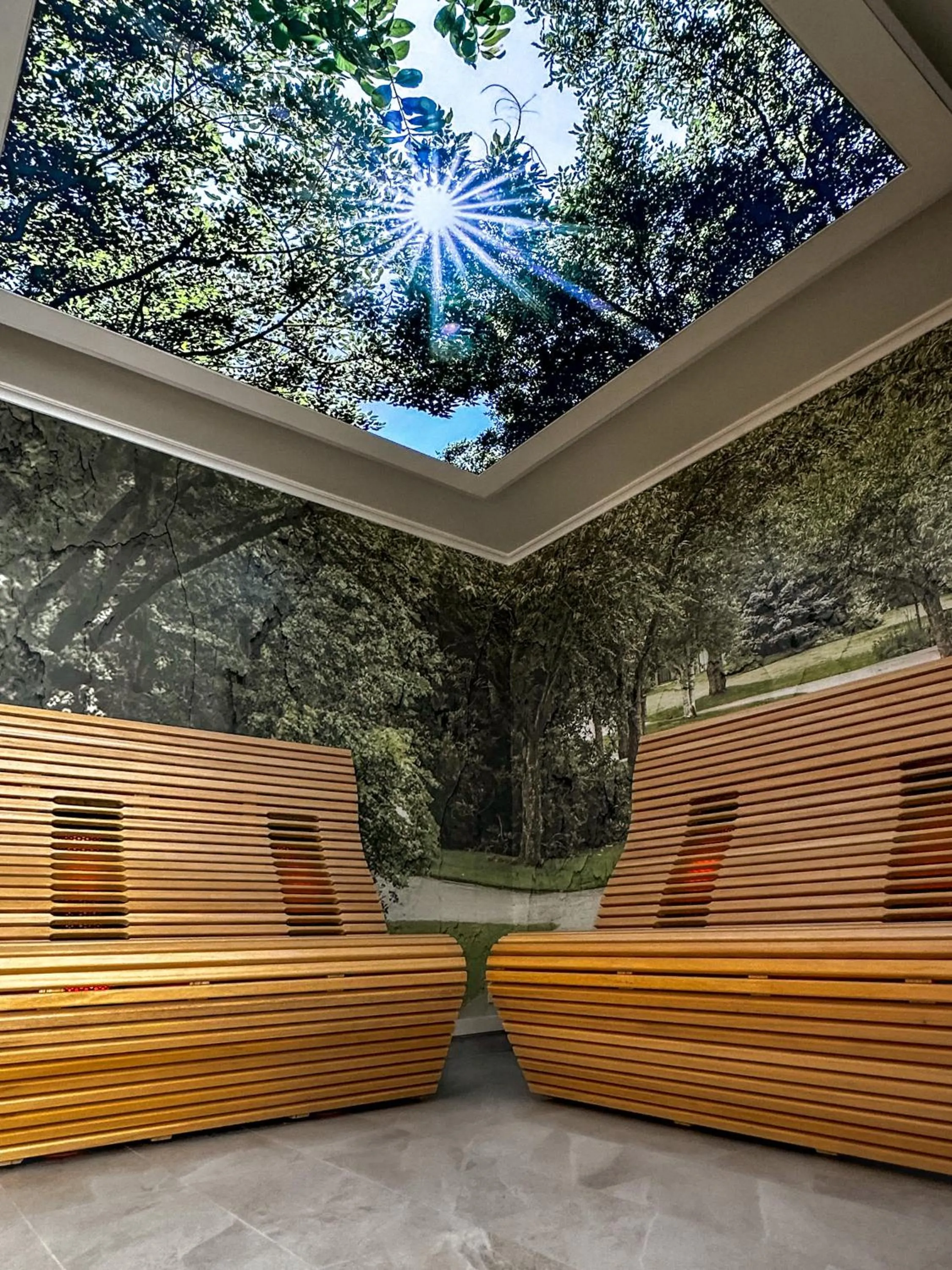 Sauna in Hotel Aurora Terme