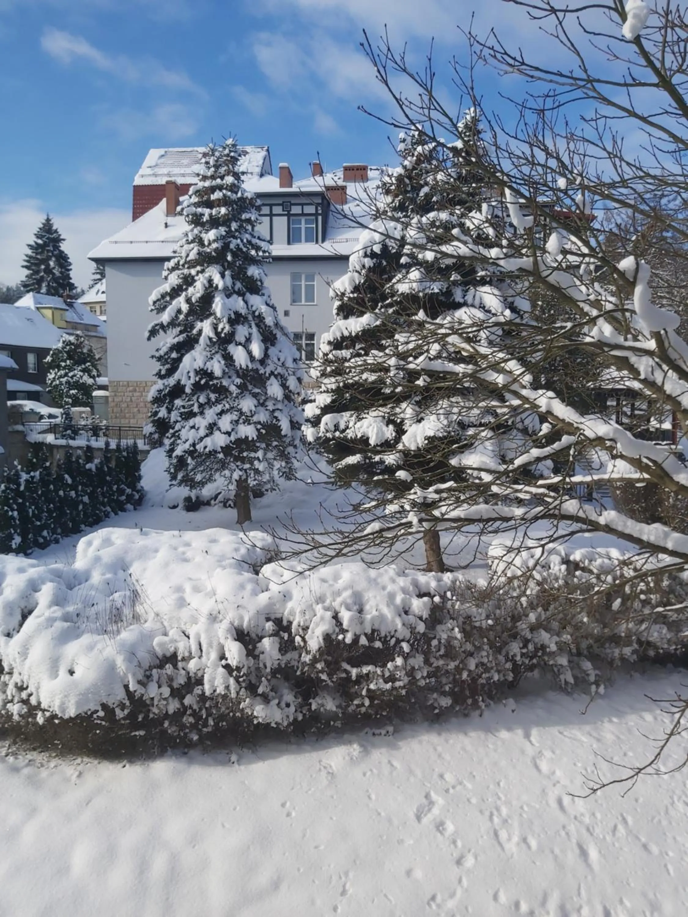 Winter in Villa Lessing