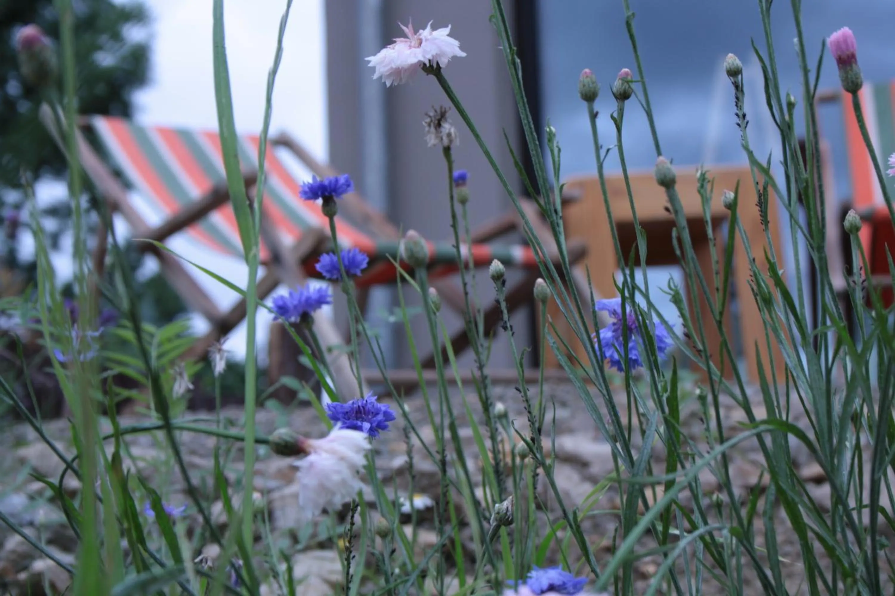 Facade/entrance in veloInn Hotel Bad Berka im Weimarer Land