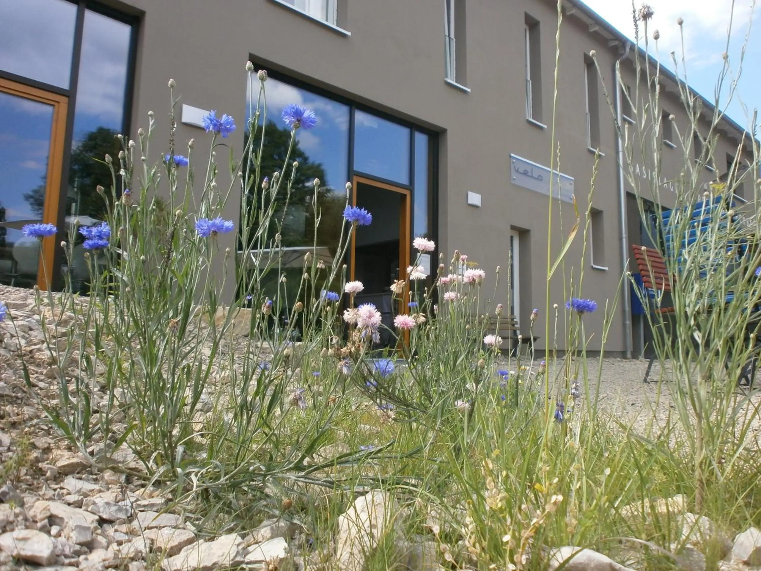 Facade/entrance in veloInn Hotel Bad Berka im Weimarer Land