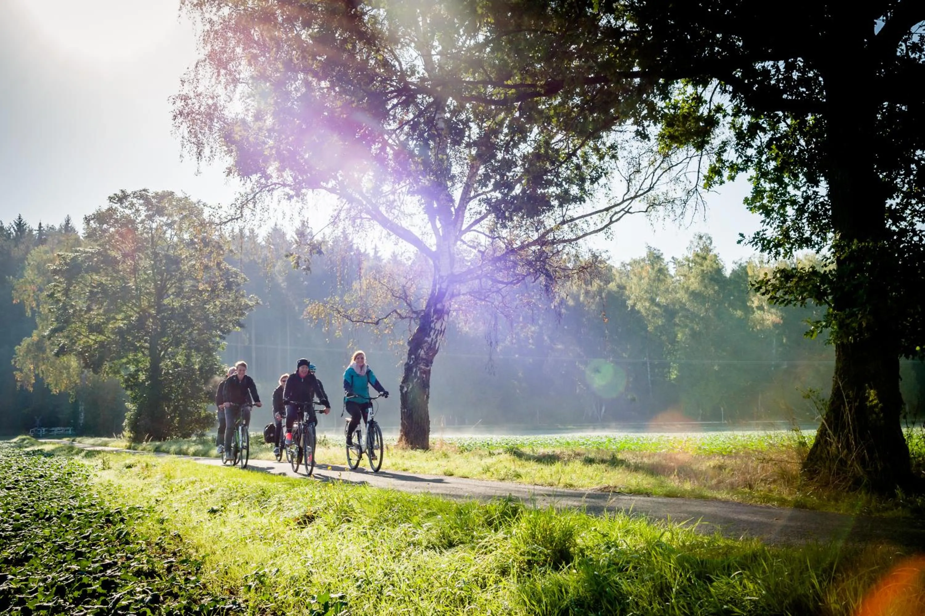 Cycling in veloInn Hotel Bad Berka im Weimarer Land