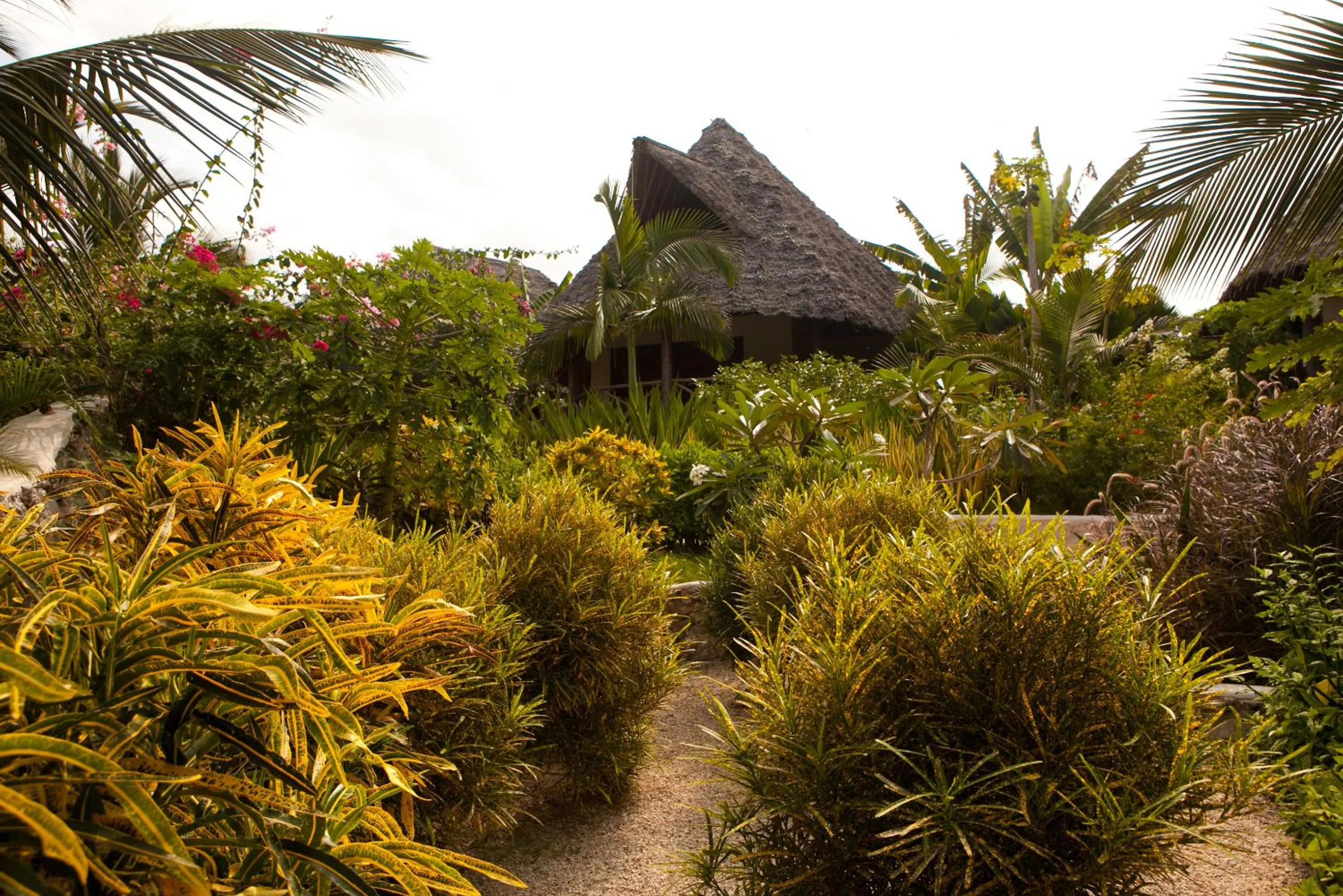 Property building in SeVi Boutique Hotel