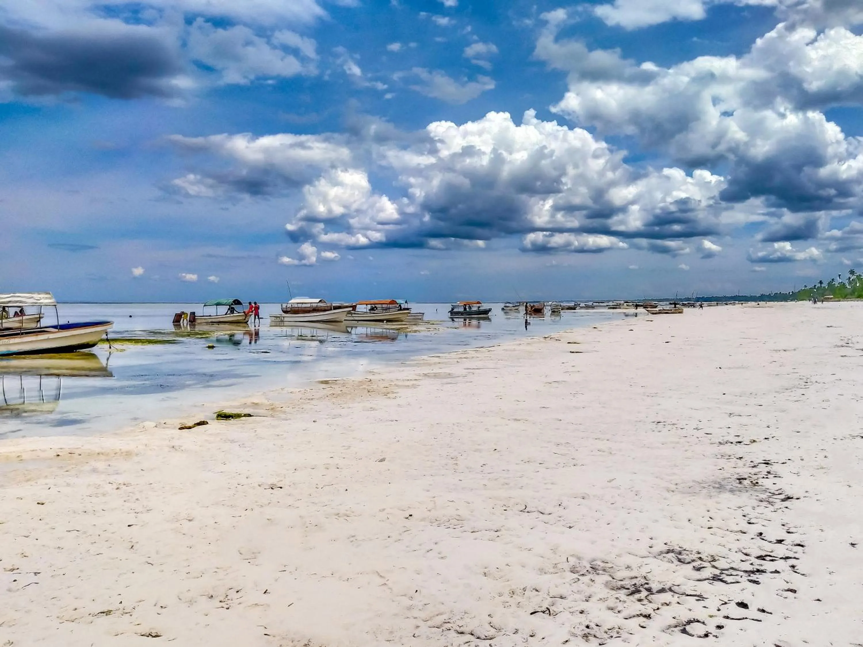 Natural landscape in SeVi Boutique Hotel