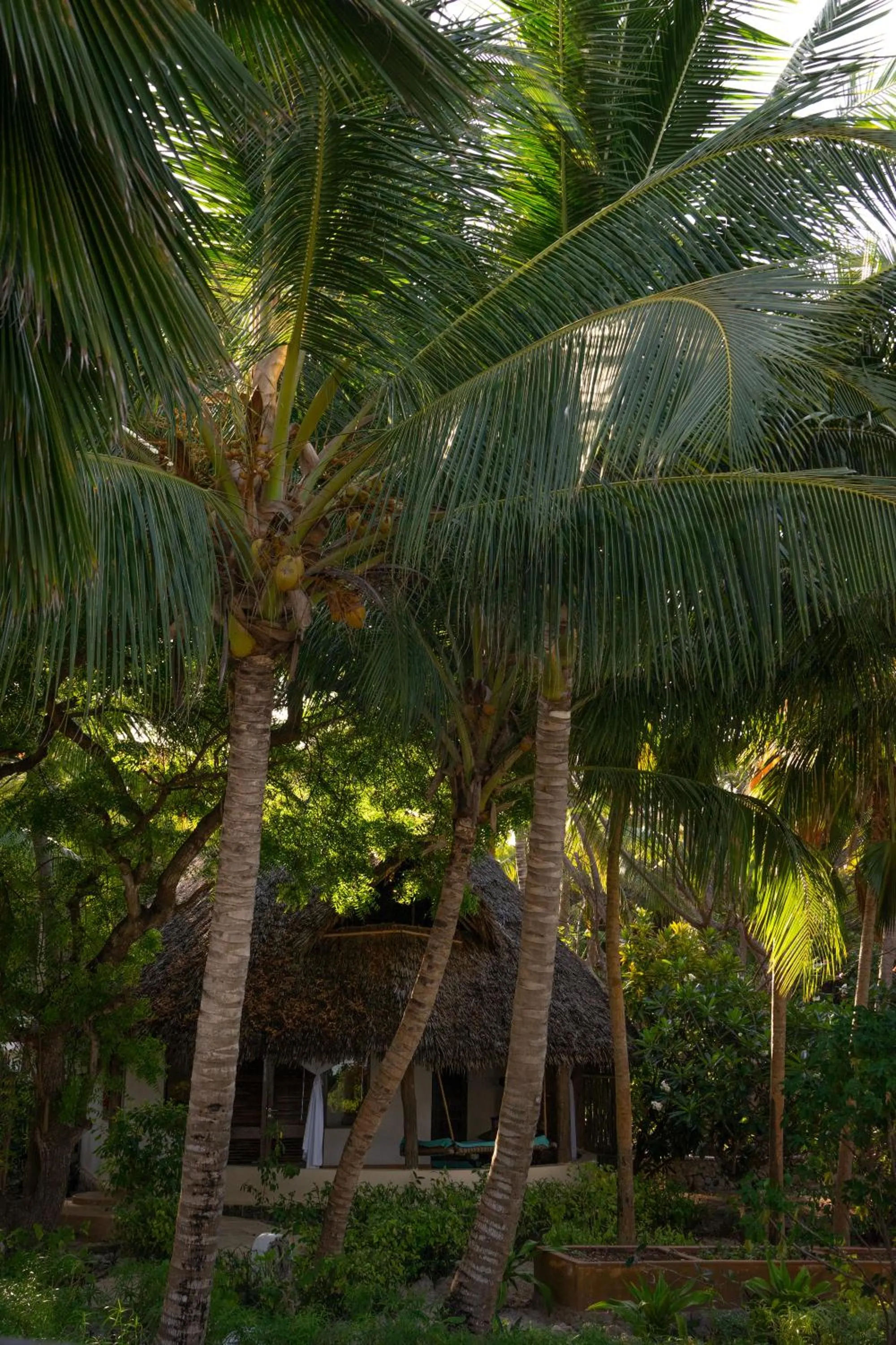 Garden in SeVi Boutique Hotel