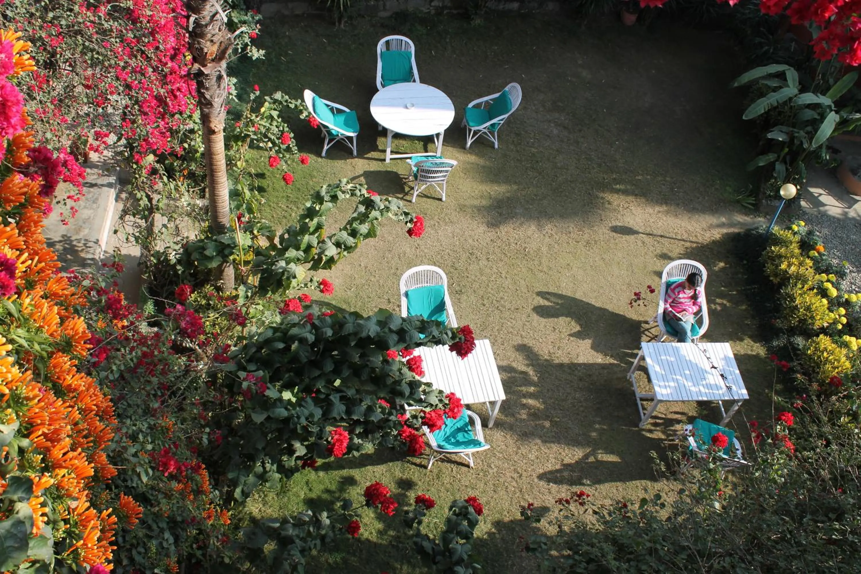 Garden in New Pokhara Lodge - Pokhara Lakeside