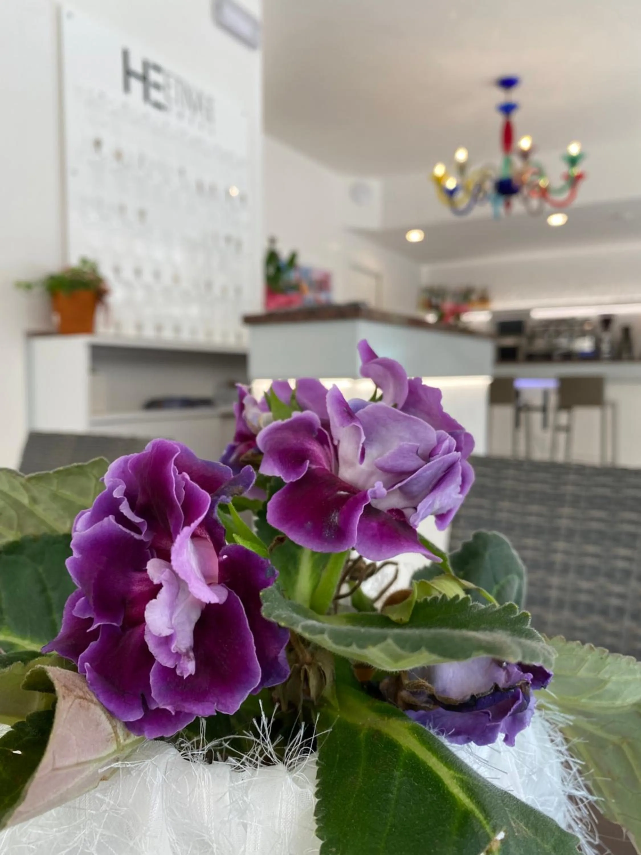 Lobby or reception in Hotel Etna