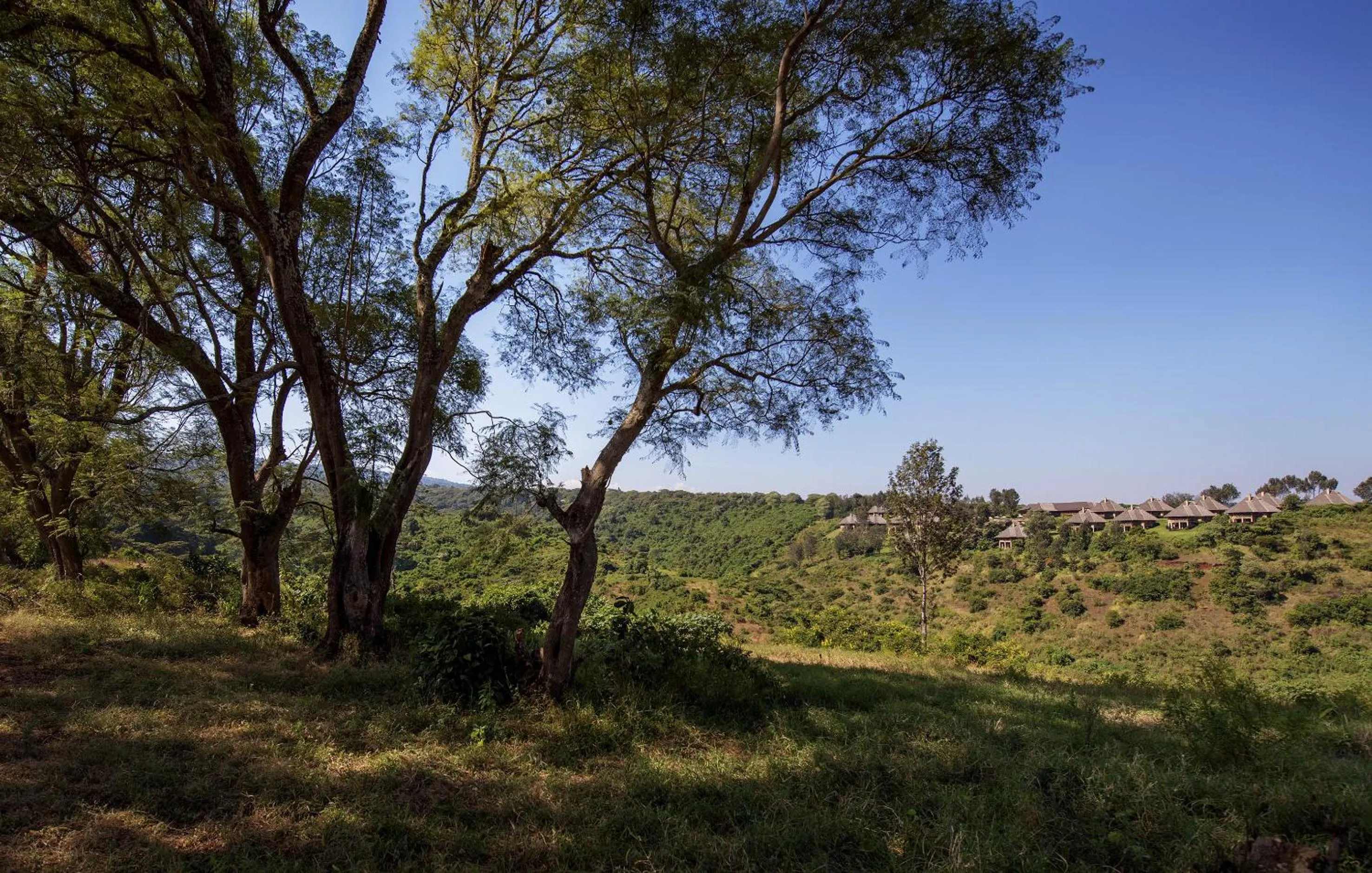 Area and facilities in Neptune Ngorongoro Luxury Lodge - All Inclusive
