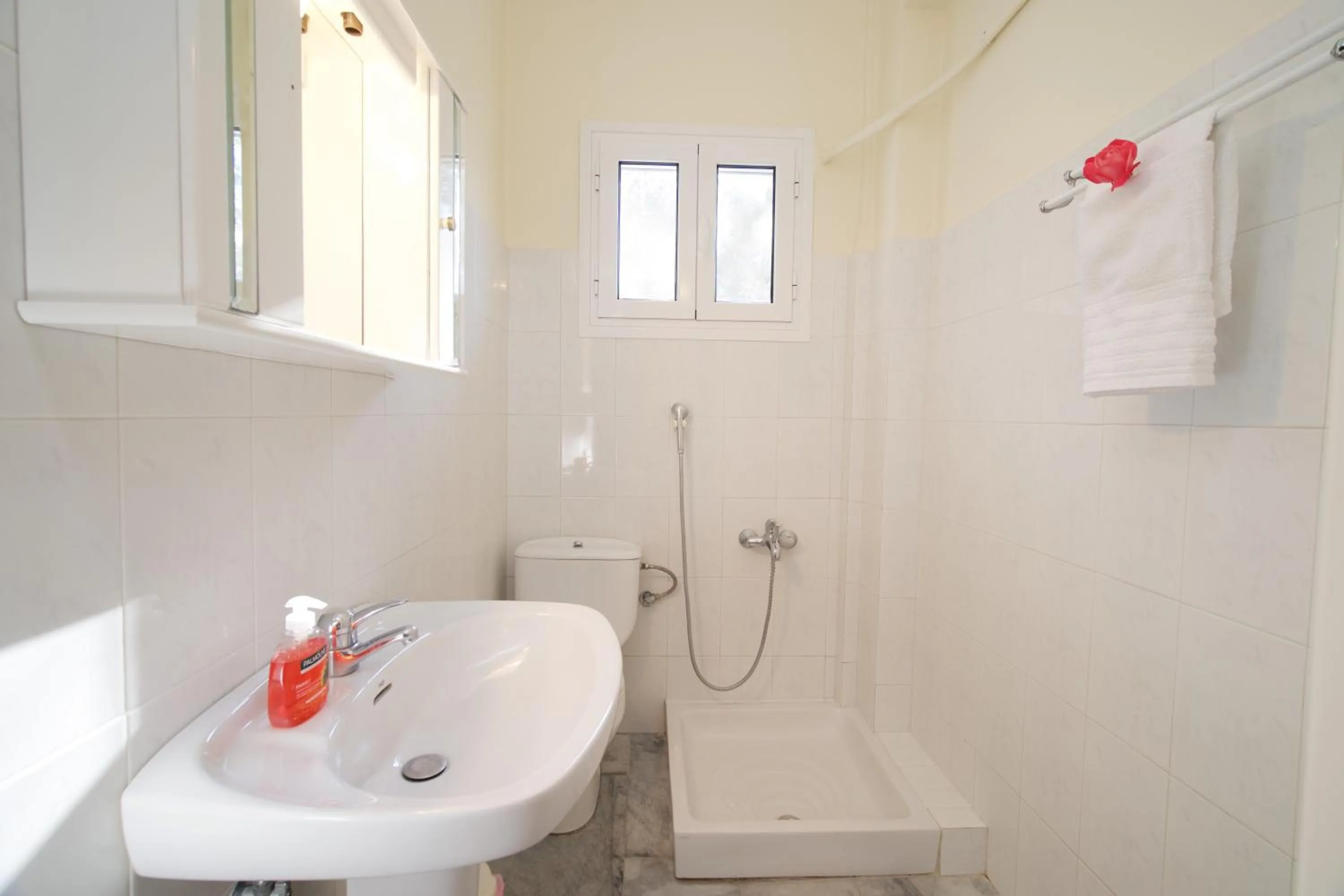 Shower in Prince Studios