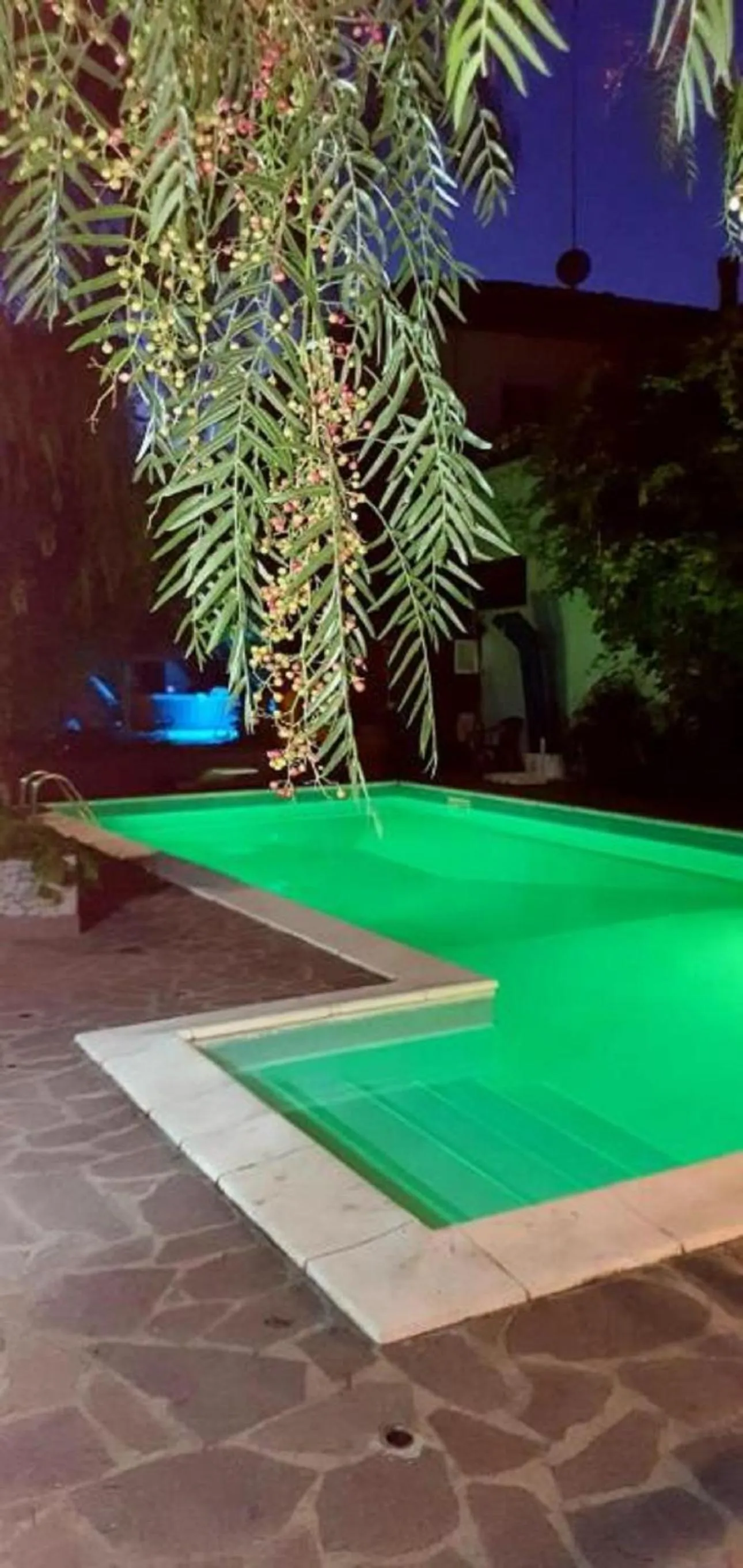 Swimming pool in B&B Il Sognatore