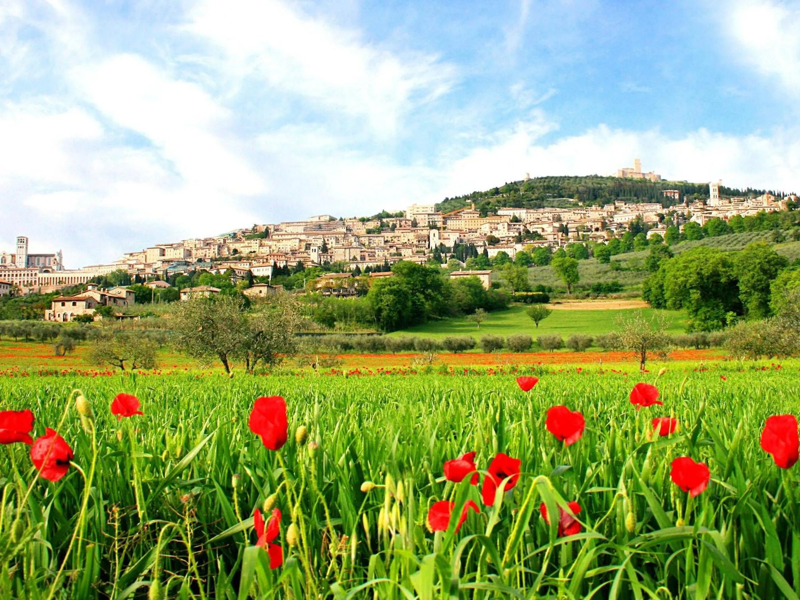 Nearby landmark in B&B Il Sognatore